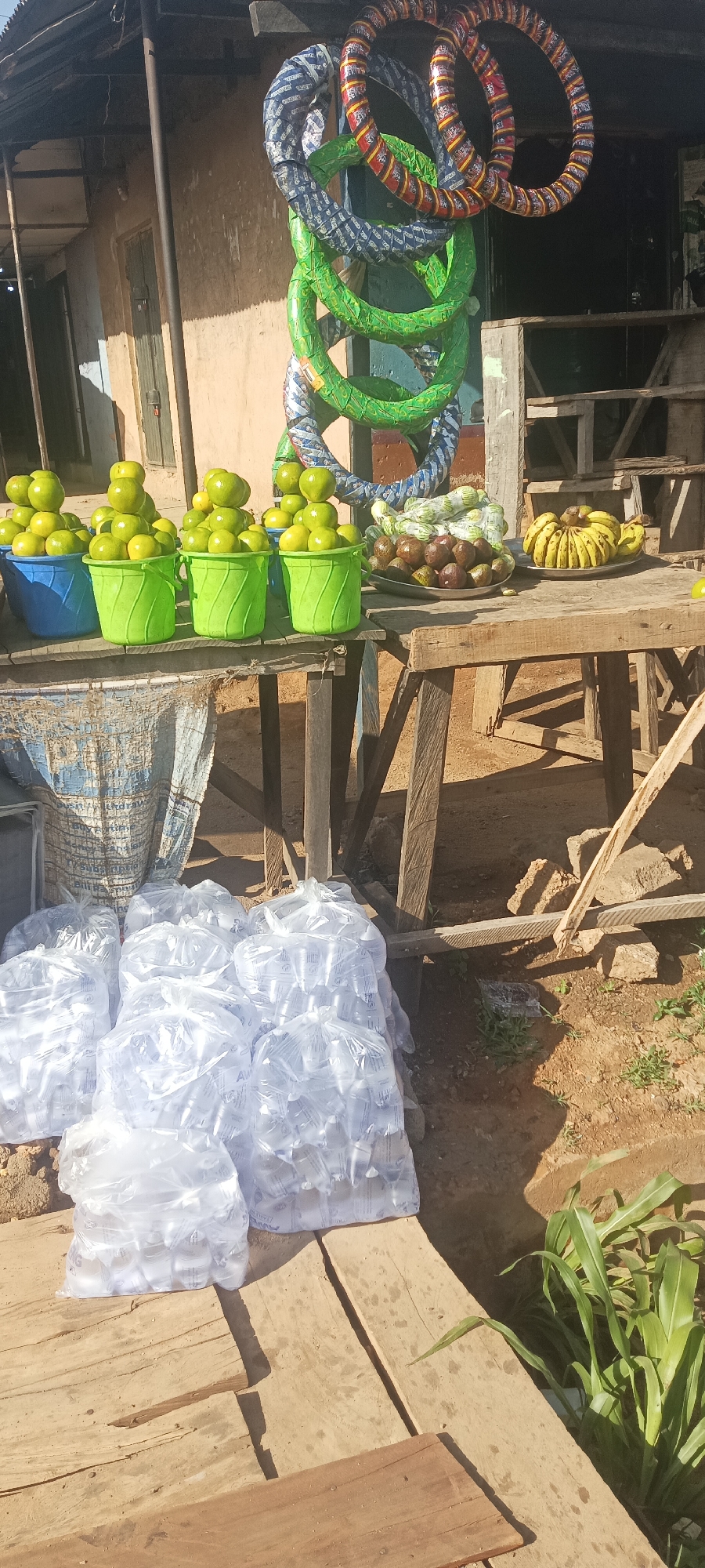 This image depicts an outdoor market stall or roadside stand in Kuru Dungus, Nigeria, under bright, clear daylight. The scene centers around a wooden table used to display various goods for sale.
On the left side of the table, five plastic buckets—four green and one blue—are filled with green citrus fruits, likely limes or unripe oranges, stacked high. Towards the center, a plate holds an assortment of avocados and what appear to be small green gourds or vegetables, some wrapped in clear plastic. To the right, another plate showcases a cluster of ripe bananas.
Above the table, several large, ring-shaped objects are suspended. These are wrapped in different patterned materials: some in red and yellow, others in blue and white, and some in solid green, possibly motorcycle tires or decorative items.
Below the table, on the dusty ground, multiple large clear plastic bags are stacked. Each bag contains numerous smaller, individual clear plastic sachets or bottles of water. Faint text, including what appears to be "AW," is visible on some of the sachets. Wooden planks are laid on the ground near these bags, and green leafy plants grow in the soil in the foreground and beside the stall.
In the background, a simple, weathered building with a light-colored wall and a dark brown wooden door is partially visible, sheltered by an overhead roof structure. Strong sunlight and distinct shadows suggest it is daytime. No people are visible in the frame. The overall scene portrays a functional marketplace.