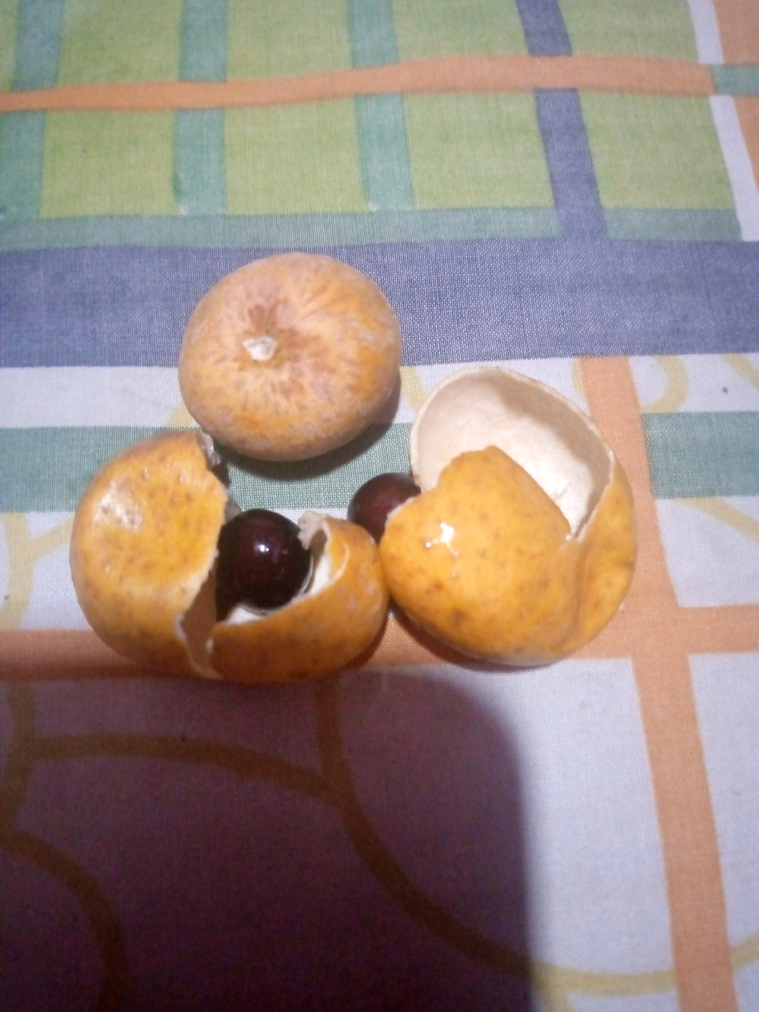 The image shows three ripe loquats and two seeds, scattered on a striped tablecloth. One loquat is whole and round, while another is split open, revealing a dark, shiny seed inside. A third, partially opened loquat, sits to the right, exposing its pale interior and one seed. The tablecloth features horizontal and vertical stripes in green, blue, orange, and white. The scene is lit from above, casting a shadow to the left.