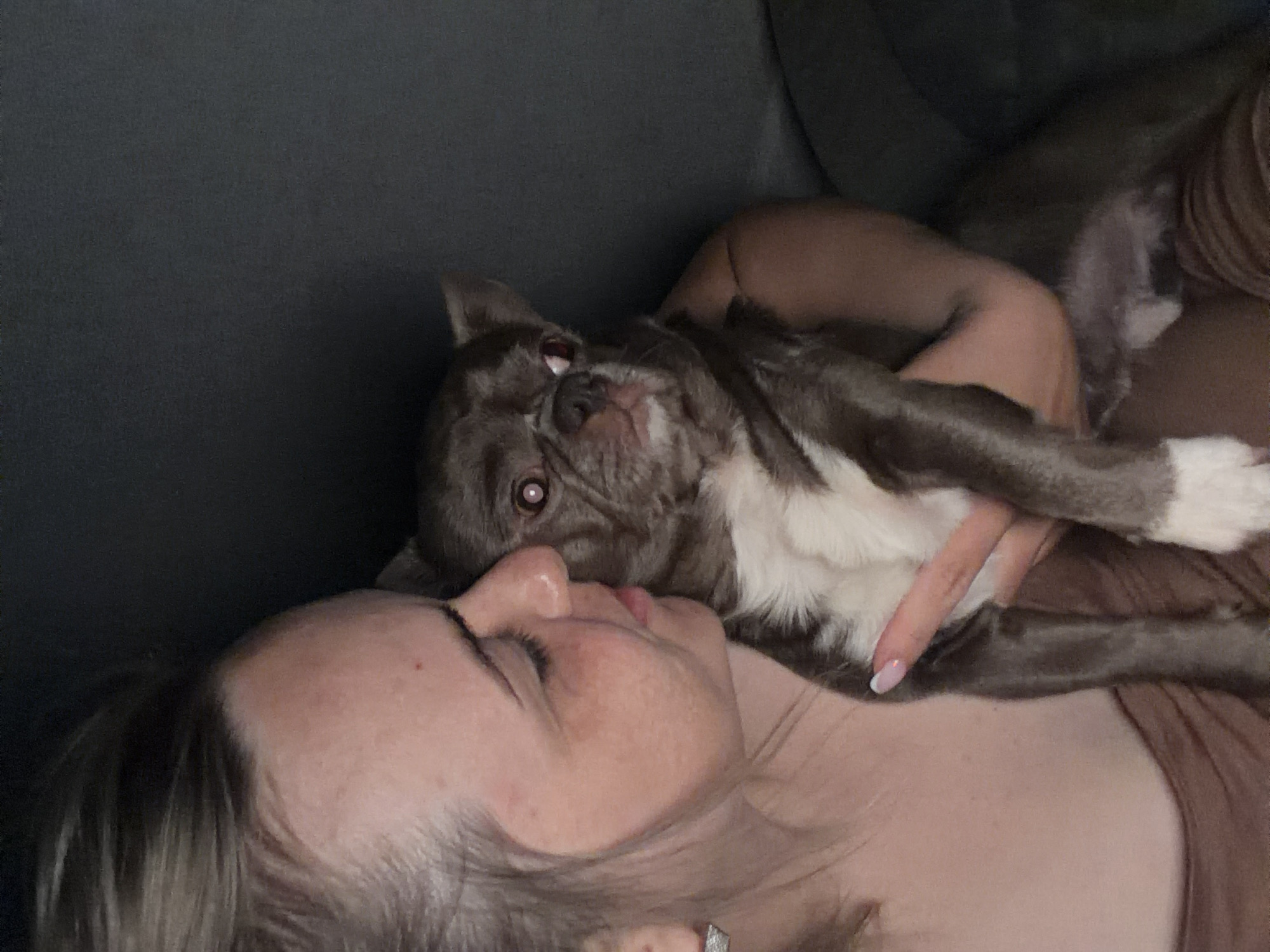 A woman is lying on a dark gray sofa with a gray and white Boston Terrier resting on her chest. The woman is light-skinned with blonde hair and closed eyes. Her face is turned towards the camera. The dog is held by the woman's hand, visible near the dog's torso. The woman's shirt is brown. The location is not possible to determine from the image and cannot be placed in Votkinsk, Russia.