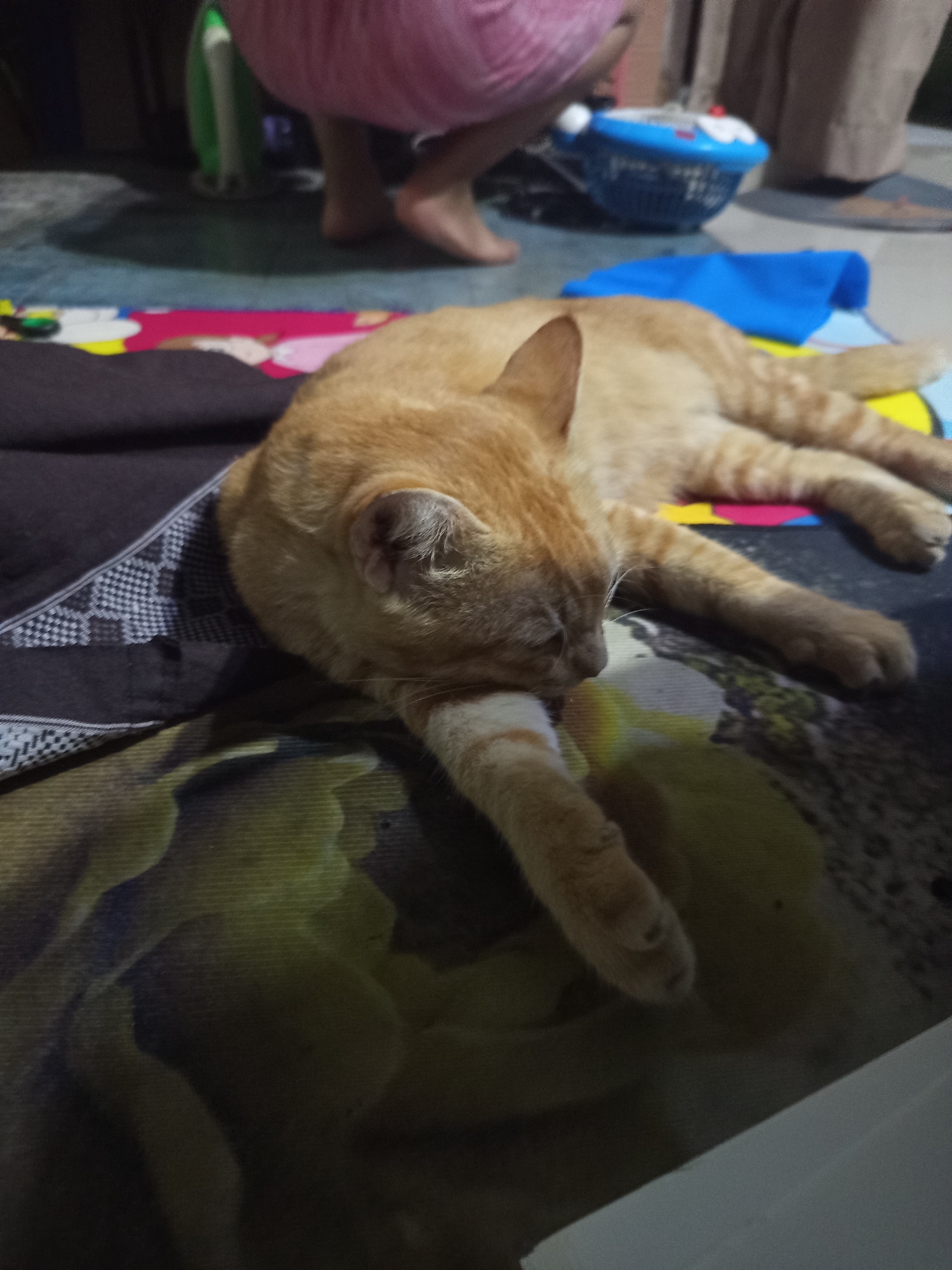 An orange tabby cat is resting on a patterned blanket on the floor. The cat is lying on its side with its head resting on its paw. In the background, a person's legs are visible, as well as a blue basket and a blue cloth. The scene appears to be indoors, likely in a residential setting in Ngablak, Indonesia. The lighting is dim, with the primary light source appearing to be from above and to the left of the frame.
