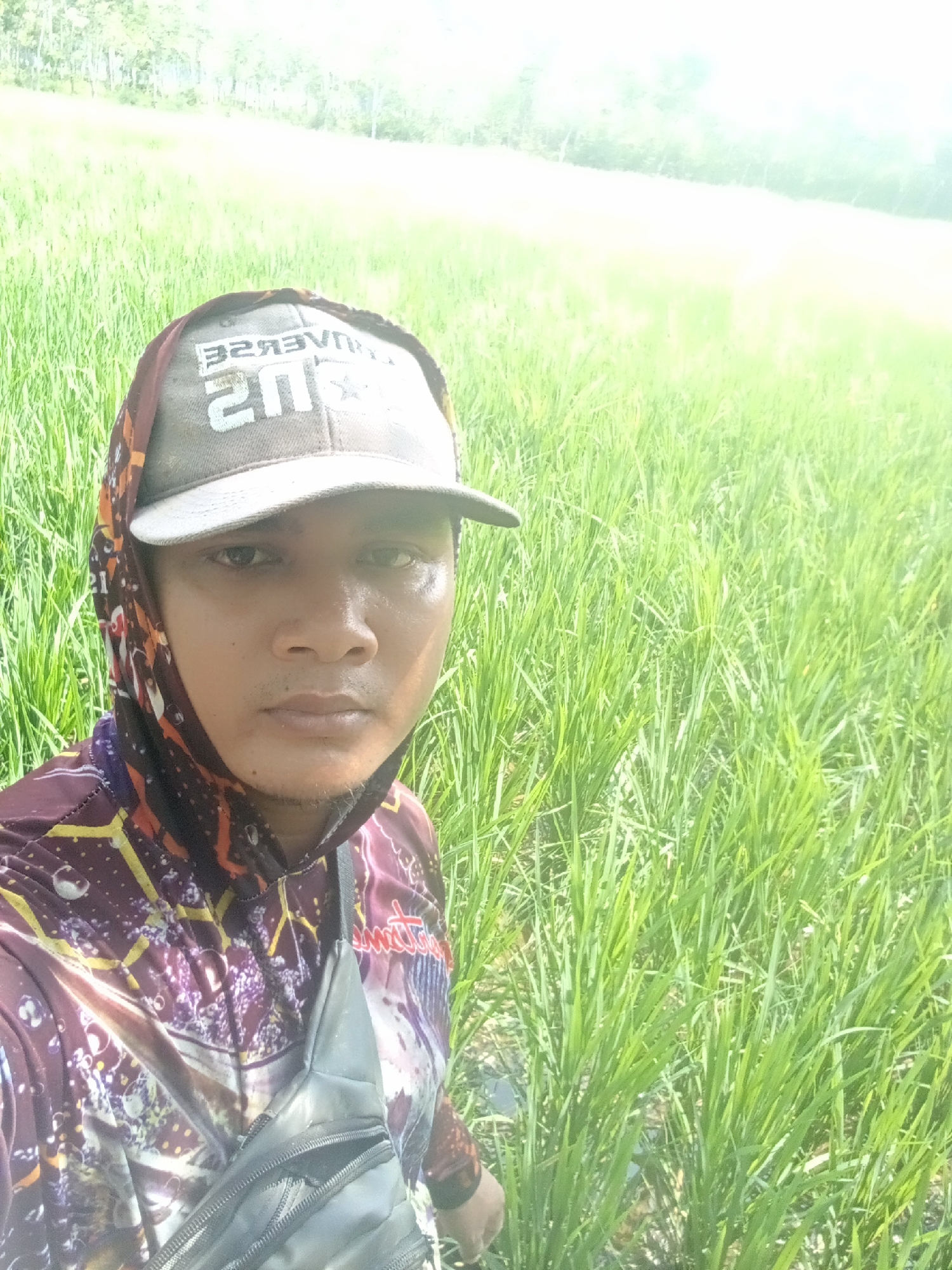 A man wearing a patterned hoodie and a baseball cap poses for a selfie in a lush green field, likely rice paddies, under bright sunlight. The cap has text on it that appears to be "2022 UNIVERSE". He is wearing a black fanny pack across his chest. The background consists of tall, green stalks of grass or rice plants, with a bright, hazy sky and distant trees. The image has a high-key exposure, making the sky appear overexposed. This scene is consistent with rural landscapes found in areas like Sri Mulyo, Indonesia, known for its agricultural activities.