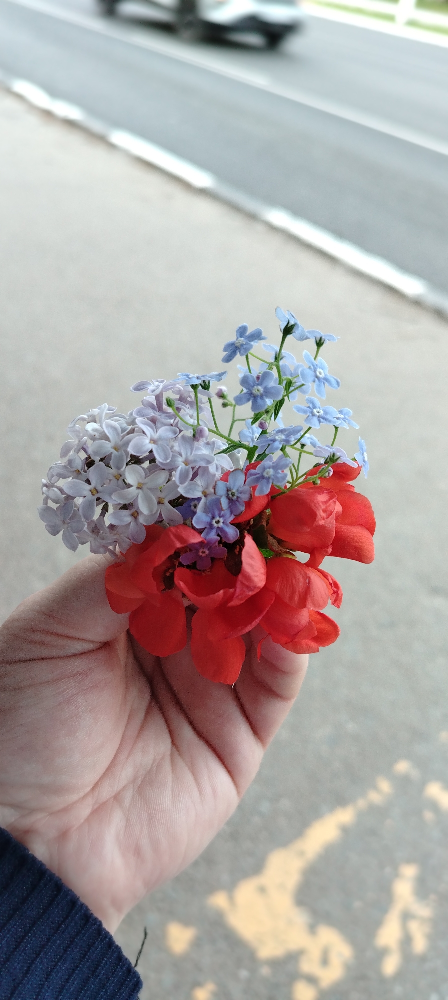 A person's hand holds a small bouquet of red, light purple, and blue flowers. The location is outdoors, likely in the city of Chaikovsky, Russia. The background is a blurred sidewalk and a roadway with a car driving on it. The person is wearing a dark blue garment. The bouquet consists of several small red flowers, a cluster of light purple lilac blossoms, and several small blue forget-me-not flowers.