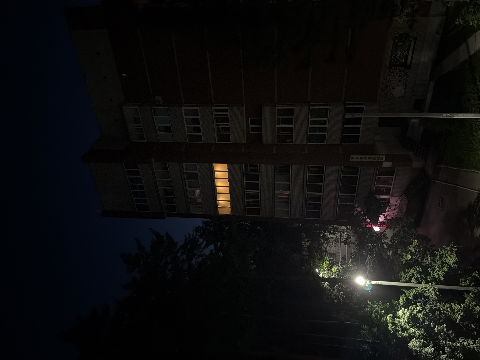 In Chaikovsky, Russia, at night, a brick apartment building stands tall. Trees partially obscure the left side of the building. A street lamp illuminates the foreground, casting a bright light on the surrounding foliage. Several windows in the building are lit with a warm, orange glow, suggesting occupancy. One window on a lower floor has a pinkish light. The building's ground level appears to house shops or businesses, one with a sign that reads "Topaz Flowers." The sky above is a deep, dark blue.