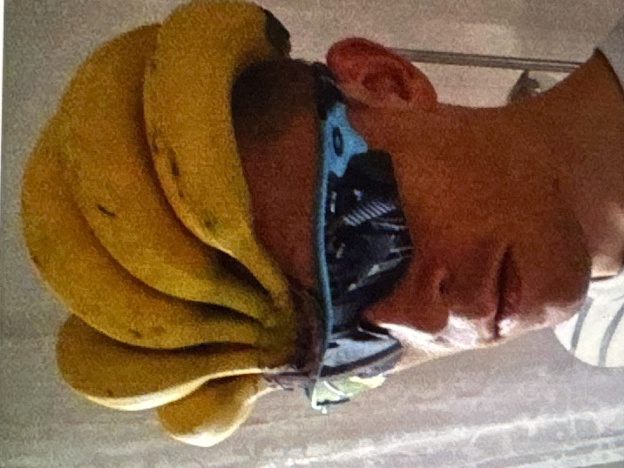 The image shows a person wearing a bunch of bananas on their head as a hat, and a pair of blue and black sunglasses. The person is facing to the left and their face is partially visible. The background appears to be an indoor setting with a light-colored wall and some drapery. The image does not contain enough information to determine the location in the city of Kuta Selatan, Indonesia.