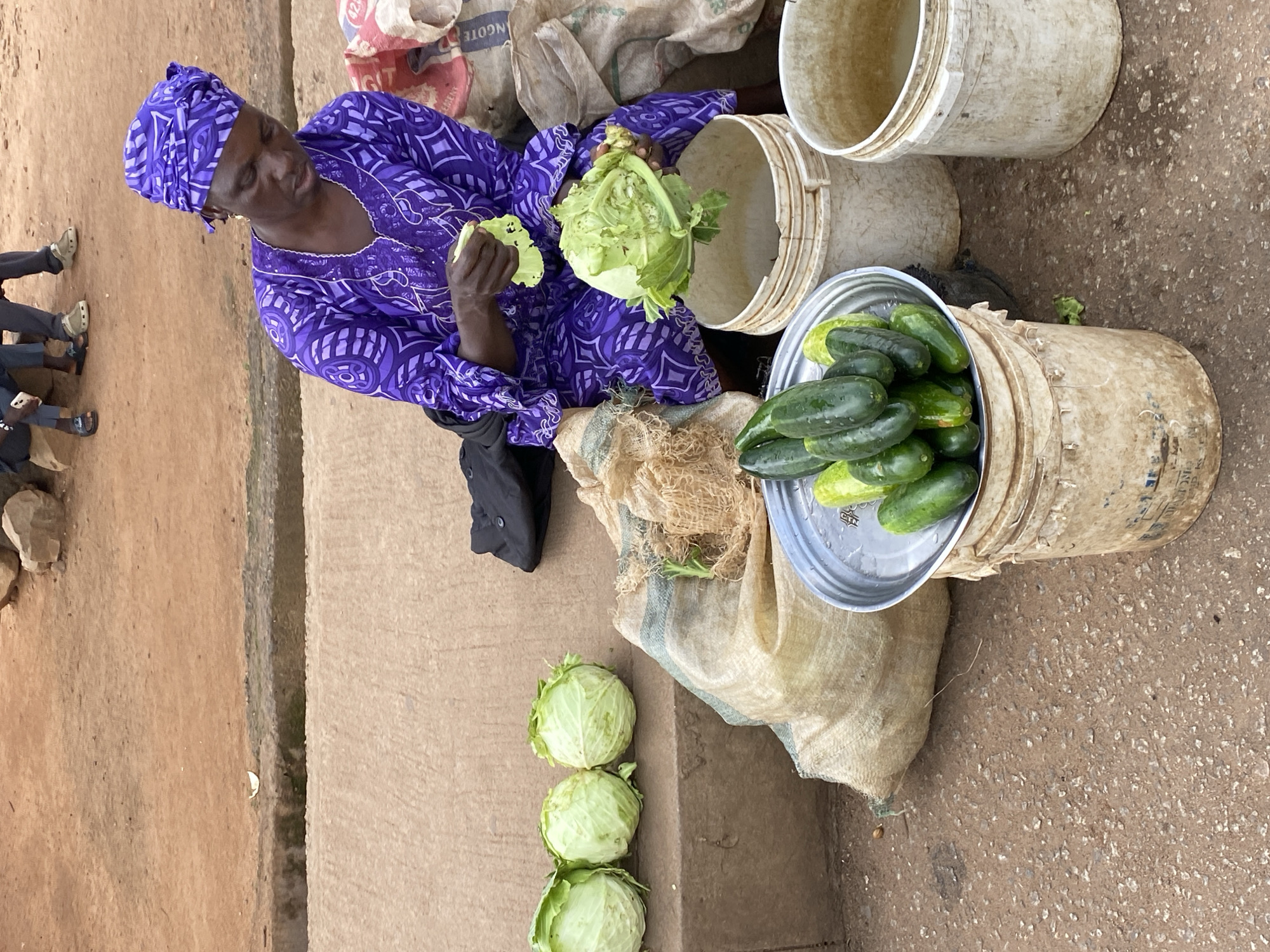 The image shows a woman, likely a vendor, sitting down in an outdoor market setting in Bukuru, Nigeria. She is wearing a vibrant purple headwrap and a matching patterned dress. Her right hand is holding a head of cabbage, and she appears to be inspecting or preparing it, with a leaf already detached.
Around her are various objects commonly found in a market. To her right, there are at least two large, weathered white plastic buckets. One bucket contains a pile of green cucumbers in a metal basin placed inside it. Another bucket, to the left of the cucumbers, is empty. Several large burlap sacks are also visible, one supporting the bucket with cucumbers. In the foreground, to the left of the woman, are three heads of cabbage arranged in a vertical line.
The ground appears to be made of dirt and some concrete. The scene suggests a daytime setting, likely during market hours. The overall mood seems to be one of daily commerce. The woman's expression is difficult to discern clearly, but she appears focused on her produce. There is some text visible on one of the burlap sacks, but it is illegible. The overall impression is a snapshot of everyday life and trade in a Nigerian market.