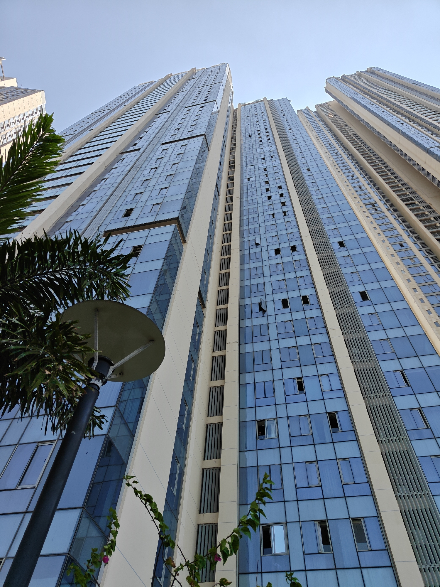 A low-angle, upward-looking shot captures several modern skyscrapers in Mumbai, India, under a clear, light blue sky. The primary structure is a tall building with a blue glass curtain wall facade, interspersed with light beige or off-white vertical and horizontal architectural elements. Numerous windows are visible across the building's height, with several appearing partially open, revealing interior darkness. To the right, another similar skyscraper rises, also featuring glass and light-colored vertical panels. A third building, partially visible on the far left, shares a similar architectural style. In the immediate foreground, obscuring part of the lower-left skyscraper, is the dark green foliage of a palm tree. Below the palm fronds, a grey, disc-shaped street lamp head is mounted on a black pole. A thin branch from a flowering plant with green leaves and small pink blossoms extends into the lower right portion of the frame, partially obscuring the lower levels of the main glass building. No people are visible within the scene.