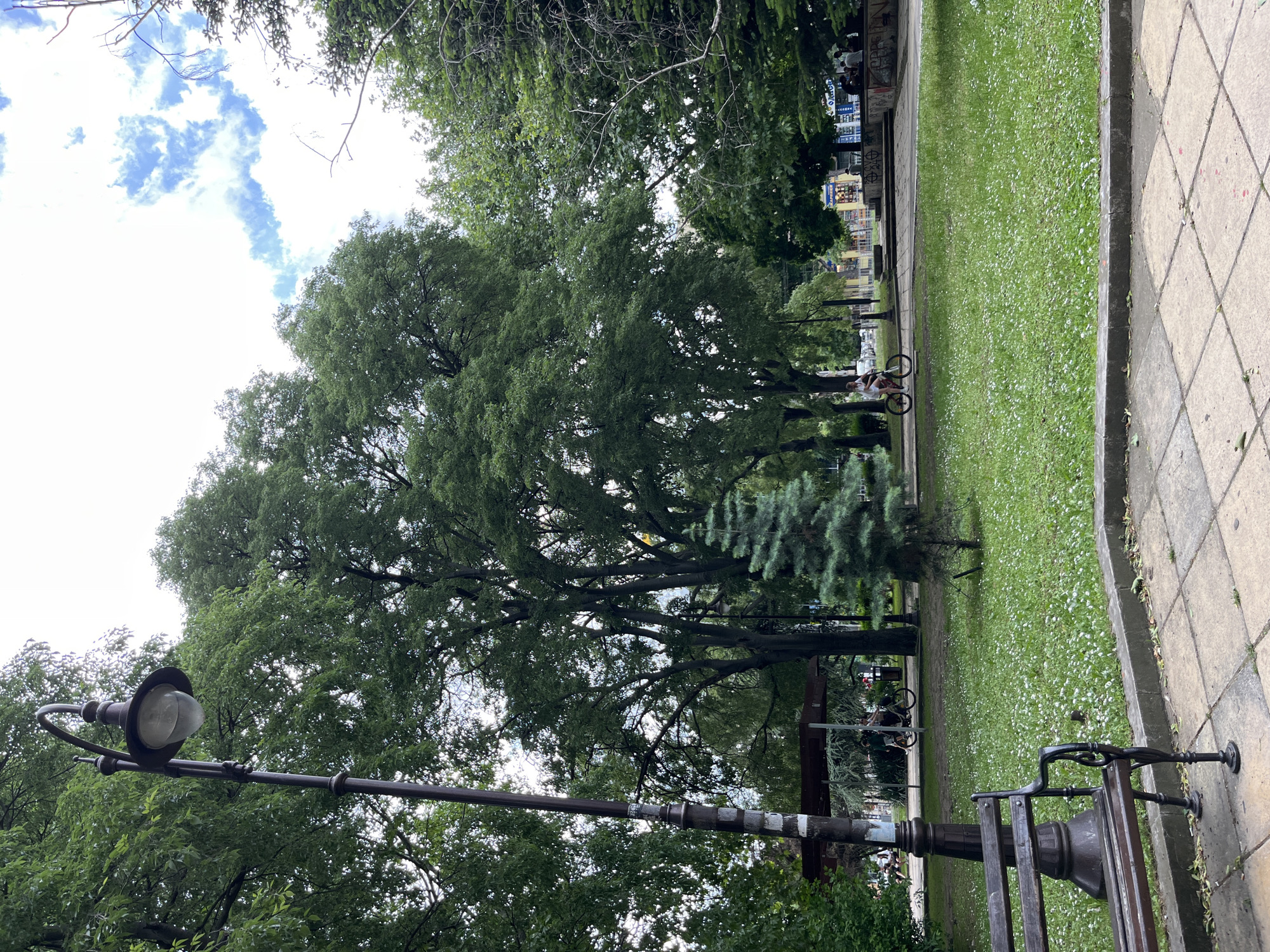 The image shows a park in Varna, Bulgaria. In the foreground, there's a vintage-style lamppost with a curved arm and a bulbous lamp. To the right of the lamppost, part of a park bench is visible, made of dark metal. The ground is paved with gray tiles.
Beyond the lamppost and bench stretches a grassy area dotted with white flowers. A large tree dominates the central area, its canopy dense and green. There is also a smaller, more pointed evergreen tree near the large tree.
Further into the park, a cyclist can be seen riding along a path. In the background, buildings are partially visible through the trees. The sky is partly cloudy.