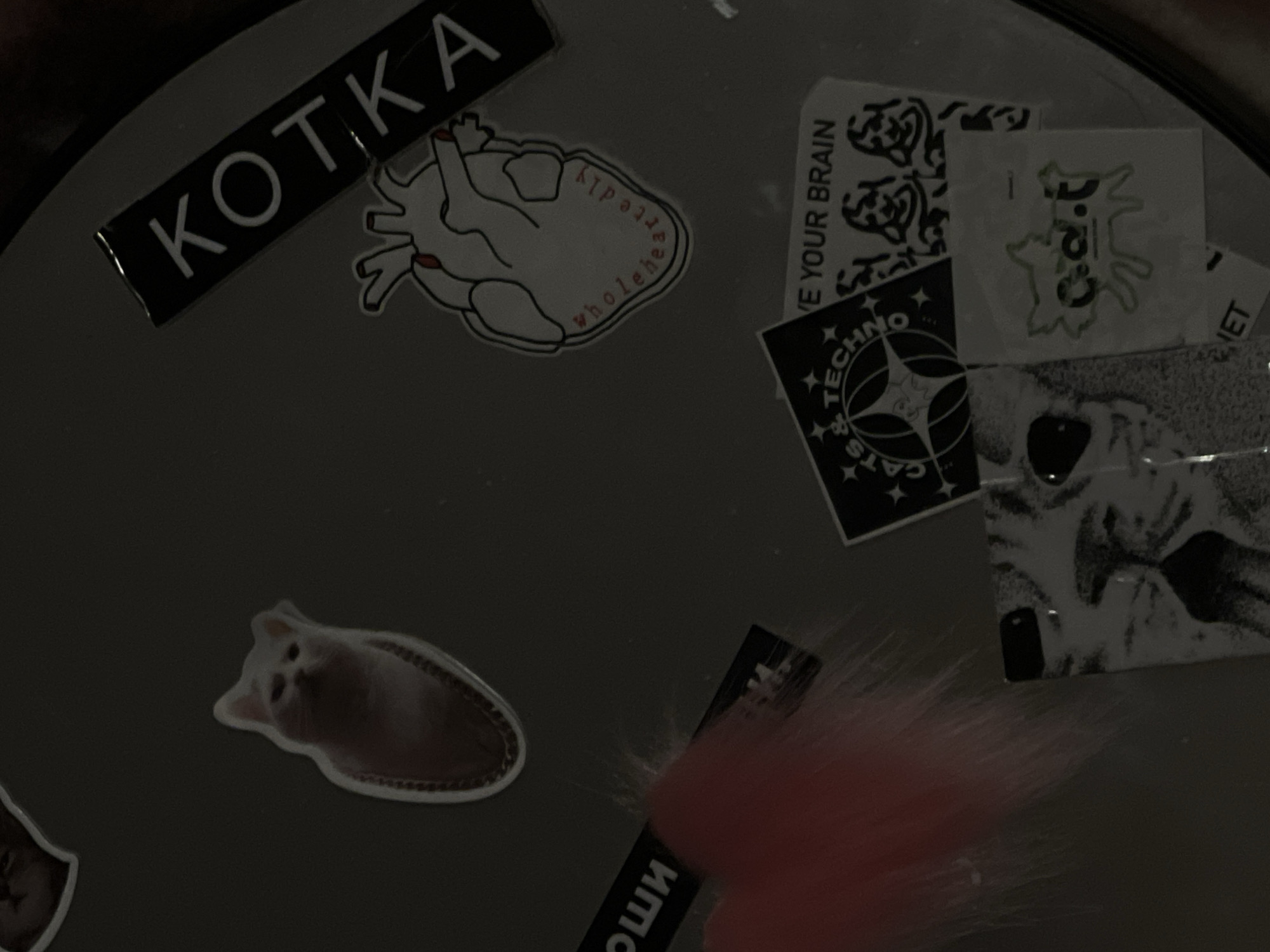 Memory