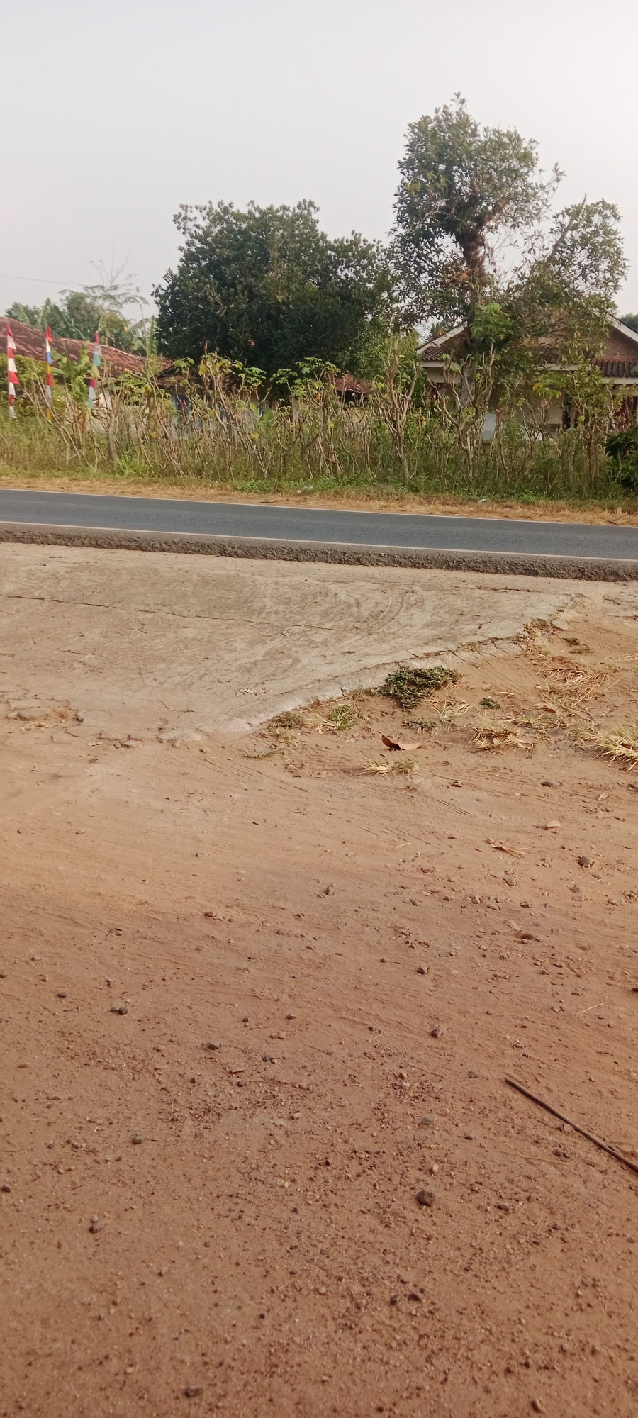 A road runs horizontally across the middle of the image. The road is paved with asphalt and has a curb made of concrete on the near side. In the foreground, the ground is covered with brown dirt and small stones. In the background, behind the road, there is a line of trees and some houses. The sky is overcast and white. The image is taken from a low angle, looking slightly up towards the road and background. The scene appears to be in a rural or semi-rural area of Gondang Rejo, Indonesia, suggested by the presence of houses and vegetation.