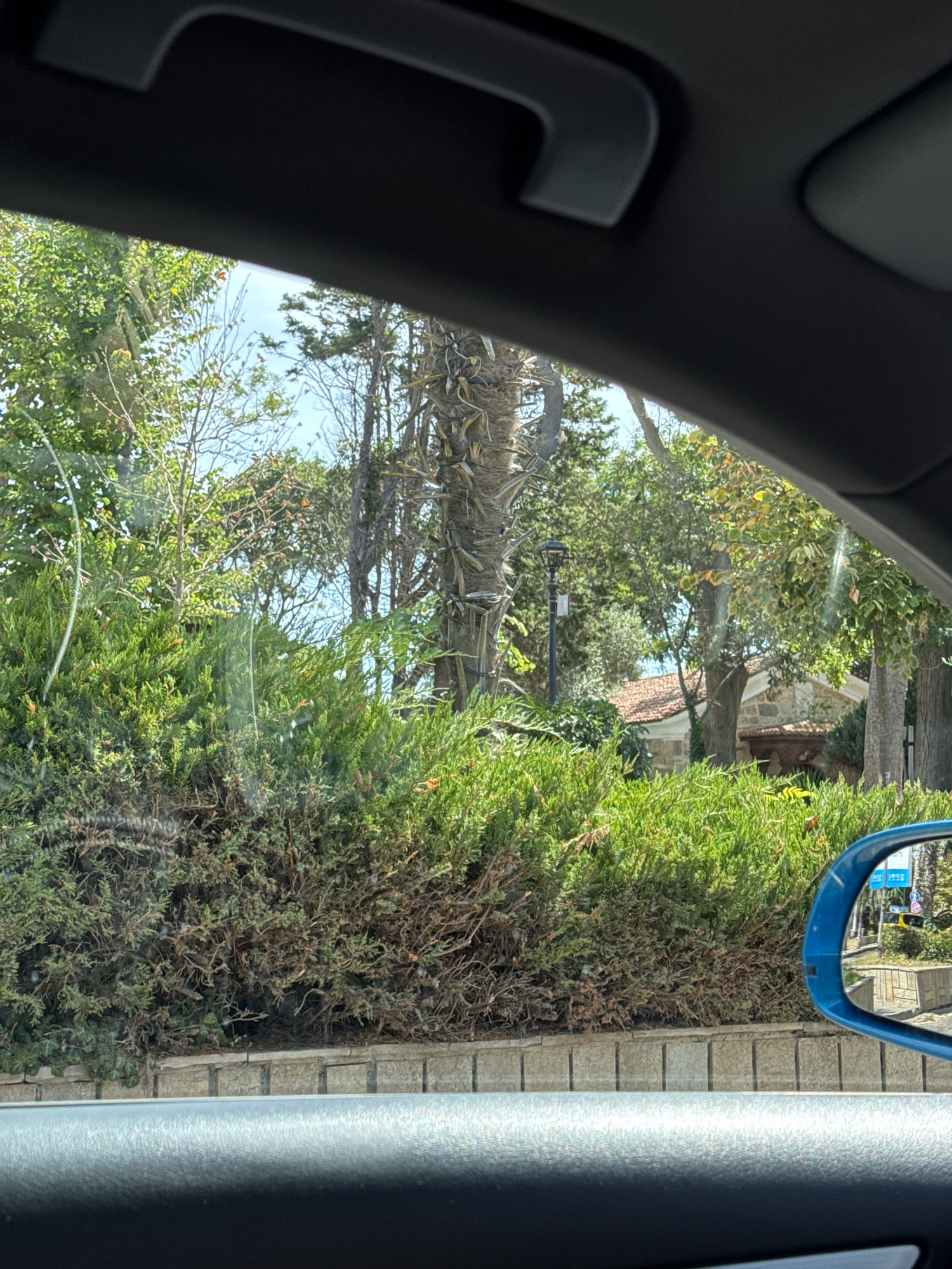 The image is a photograph taken from inside a vehicle, looking out through the windshield. In the foreground, the interior of the car is visible, including a black dashboard and the edge of a blue side-view mirror on the right. Outside the car, a dense green hedge runs horizontally across the middle of the frame, bordered by a stone wall below. Behind the hedge, a variety of trees and vegetation are visible, with a building featuring a terracotta-tiled roof and stone walls in the background. A black lamppost stands among the trees. The sky is bright blue with some scattered white clouds. The scene appears to be in a residential or park-like area. The image does not provide enough information to definitively place it in Sozopol, Bulgaria.