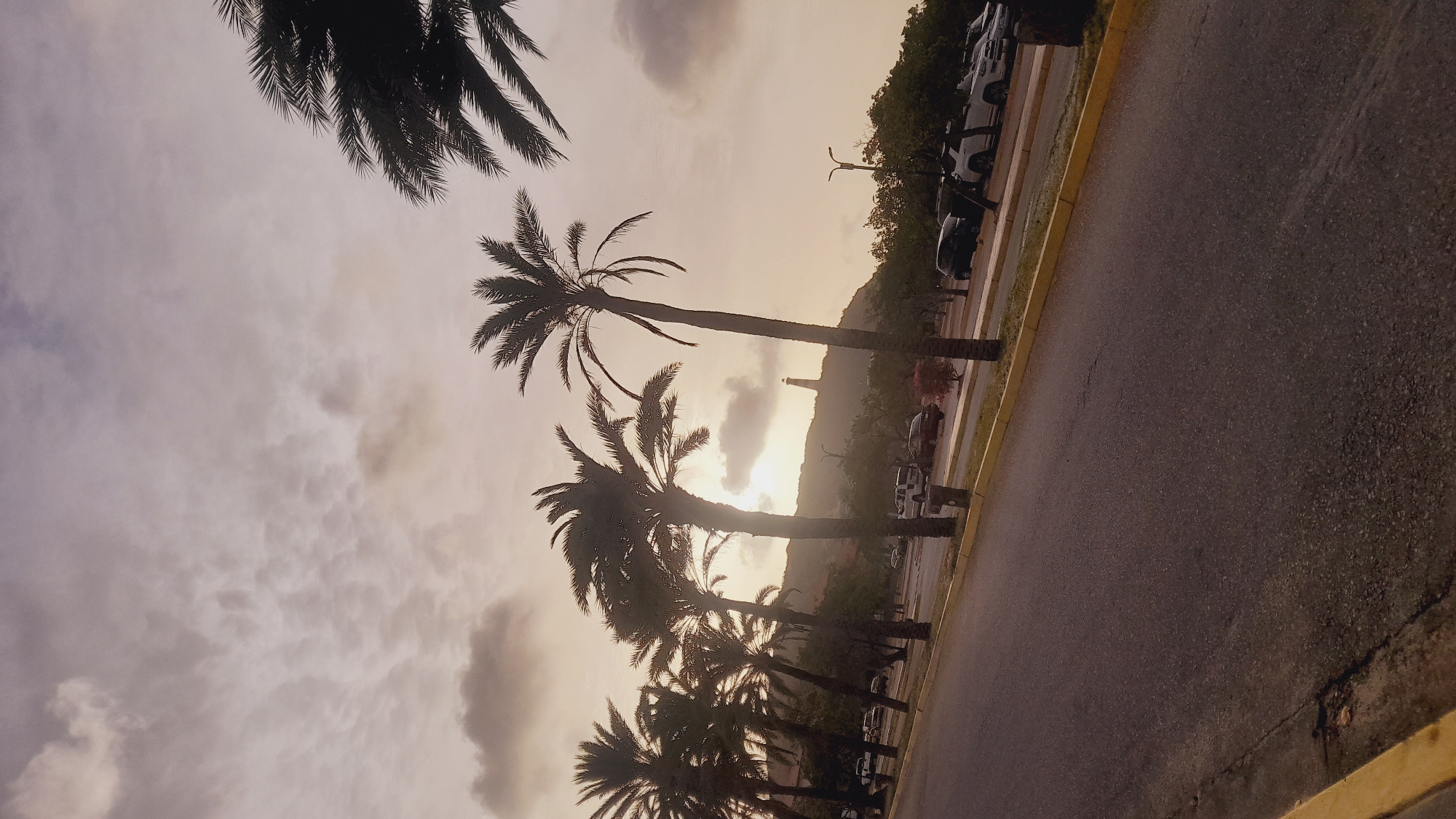 The image depicts an exterior scene in Pedro González, Venezuela, observed during the golden hour, indicating either sunrise or sunset. The sky is largely overcast with soft, warm, diffused light emanating from behind a distant hill, creating a muted color palette. A two-lane asphalt road, showing minor surface cracks and bordered by yellow painted curbs, occupies the foreground and extends into the mid-ground on the left.
Along the right side of the road, a line of approximately eight to ten tall palm trees (Arecaceae family) stands silhouetted against the bright sky, their dark fronds fanning out. To the right of these palm trees is an unpaved or graveled area serving as a parking lot, containing multiple parked vehicles, including several white and dark-colored SUVs and at least one dark sedan. Small, dark cylindrical objects, possibly bollards or waste receptacles, are visible near the base of some palm trees. A streetlamp standard is present on the far right.
In the background, a verdant hill rises prominently. At its summit, a tall, slender, conical structure resembling a lighthouse is clearly visible, partially silhouetted by the light source behind it. No individuals or discernible actions are present in the frame.