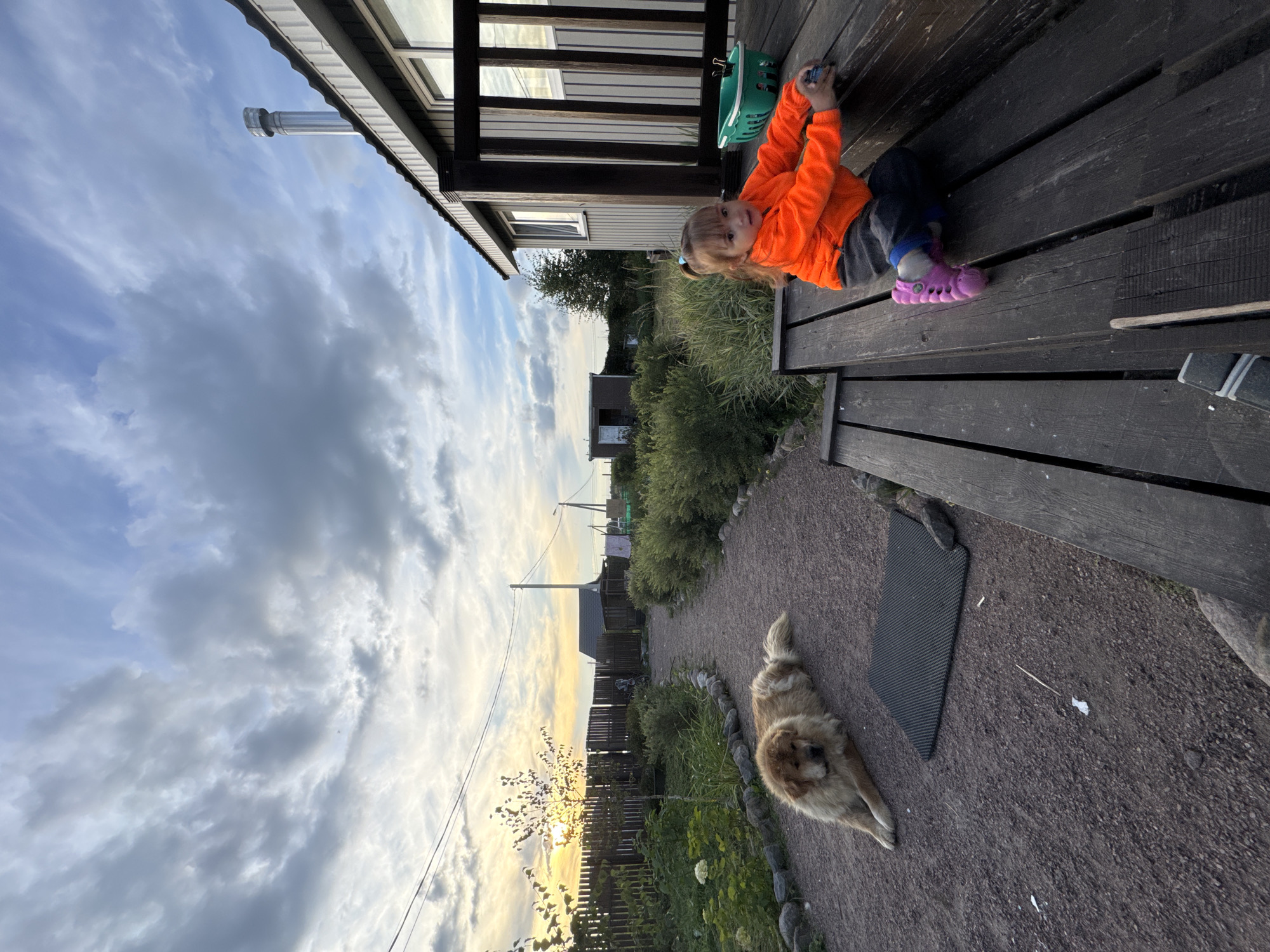 A young Caucasian girl, approximately 3-4 years old, with blonde hair tied in a ponytail and wearing an orange hooded jacket and dark pants, sits on a wooden deck. She is holding a small toy in her hands. Her right foot is clad in a pink shoe. Next to her is a green plastic basket containing some objects. The wooden deck appears to be attached to a house with light-colored vertical siding and dark-brown trim. A metal chimney extends from the roof of the house.
To the left of the deck, a large, fluffy, light-brown dog is lying on a gravel pathway. The dog appears to be a Tibetan Mastiff or a similar breed. A dark, rectangular mat is placed on the gravel near the dog.
The scene is set outdoors, likely in a rural or suburban area, with a garden and dense green bushes visible. In the background, a wooden fence runs along the property. A setting sun casts a warm glow on the horizon, with a few clouds dotting the sky. Power lines are visible strung across the sky. The location is identified as Kempelevo, Russia. The overall impression is a quiet, domestic scene at dusk.