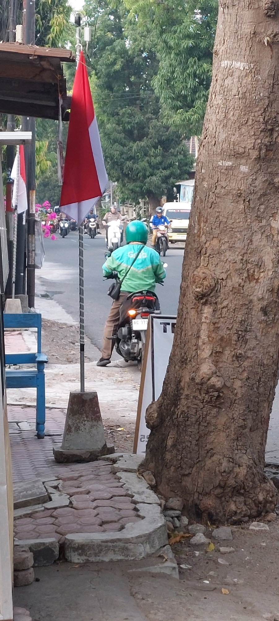 In an outdoor urban environment, a person wearing a bright turquoise jacket and a green helmet rides a motorcycle on a paved road. The motorcycle has a black rear cargo box and its taillight is illuminated. The rider is looking forward, and their legs are clad in brown trousers. The motorcycle has a license plate that reads "AC 377". Other individuals on motorcycles, some wearing uniforms, are visible further down the road. A large tree trunk with textured bark is prominently positioned on the right side of the image. In the background, green trees and foliage are visible. To the left, a red and white flag is hanging from a pole, and a blue chair sits on a sidewalk. The sidewalk itself is made of hexagonal pavers and concrete, showing some signs of disrepair. The overall lighting suggests it is daytime.