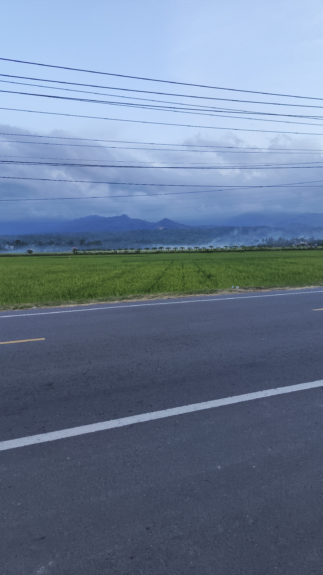 The image captures a tranquil scene along a roadside in Bateiiliek, Indonesia. In the foreground, an asphalt road stretches into the distance, marked by a solid white line and a partially visible yellow line closer to the field. Adjacent to the road is a vibrant green paddy field, extending towards a backdrop of low mountains shrouded in a layer of mist or smoke, partially obscured by clouds. A row of evenly spaced trees punctuates the horizon between the field and the mountains. Above, a pale blue sky is crossed by several sets of electrical or telephone wires. The overall impression is one of rural tranquility juxtaposed with the infrastructure of modern life. No people are visible in the shot.