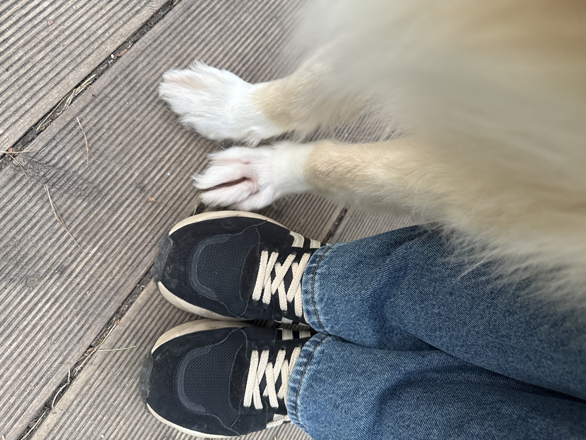 The image shows a person standing on a wooden deck, wearing blue jeans and black and white sneakers. A dog is lying close to the person's feet. The deck appears to be outdoors. The location in the city of Chaikovsky, Russia, cannot be verified from the image.