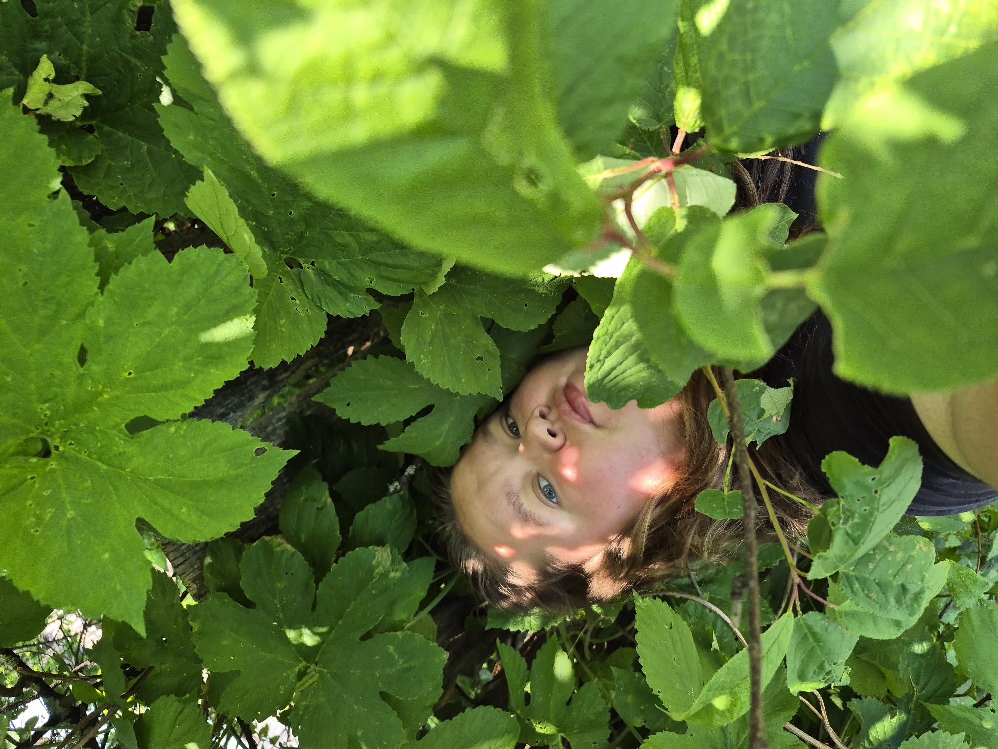 A young person with light brown hair and blue eyes is partially concealed by lush green foliage. They are lying down, with their face turned towards the camera, and their head is resting on their left arm. Sunlight filters through the leaves, casting dappled shadows across their face. The overall scene suggests a natural environment, possibly a park or garden, in Dojnaia, Russia. The person is wearing a dark-colored shirt.