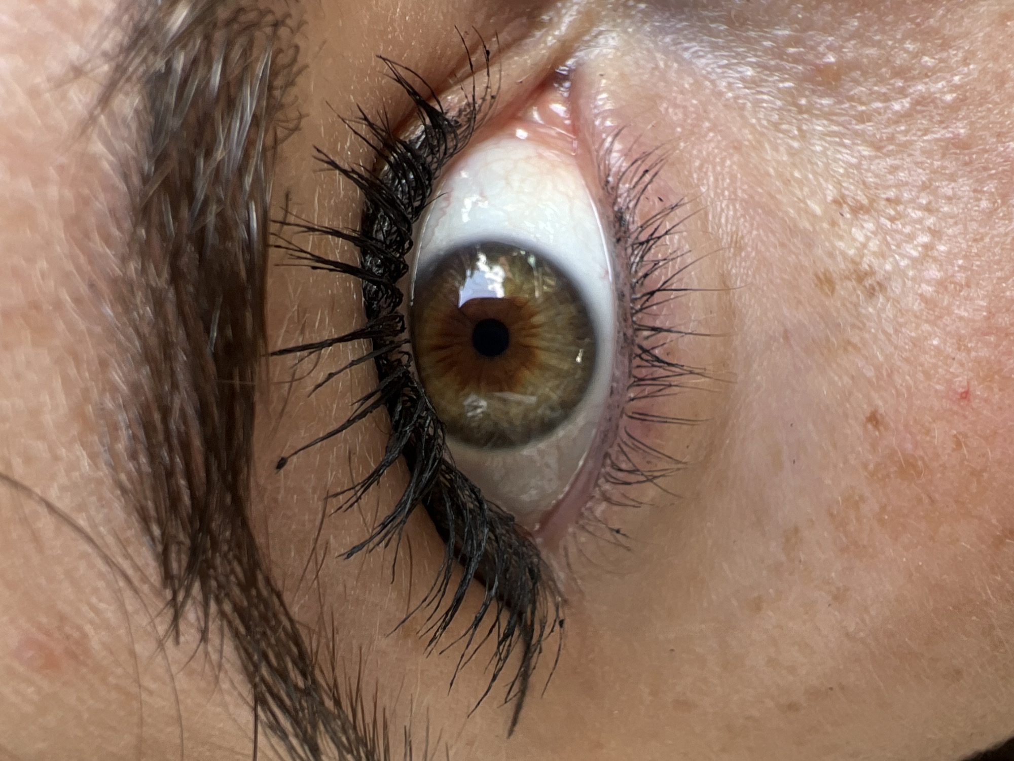 This is a close-up, forensic, matter-of-fact photograph of a human eye. The eye is open, with a brown iris and a dark pupil. The eyelashes are dark and appear to be coated with mascara, some are clumped together. The eyebrow above the eye is dark and hairy. The skin surrounding the eye is fair, with visible pores and some freckles or pigmentation. There are also some fine wrinkles present on the skin. The lighting is bright, causing a reflection in the pupil of the eye, which appears to be of greenery. The image is taken from a medium-close perspective, focusing specifically on the eye and its immediate surroundings. There is no indication of a specific city or location within Sofia, Bulgaria.