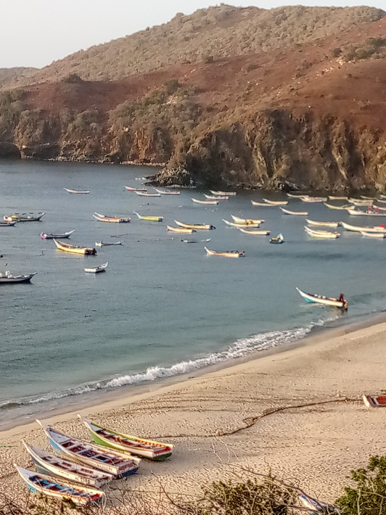 This image captures a tranquil coastal scene in Pedro González, Venezuela, depicting a bay filled with numerous small fishing boats, locally known as lanchas. The calm, blue-grey water of the bay is dotted with dozens of these colorful vessels, many appearing to be anchored or floating idly.
In the foreground, a sandy beach curves gently, meeting the water with soft, lapping waves. Several more lanchas are pulled up onto the sand, positioned parallel to the shoreline. These boats are painted in vibrant hues of white, blue, green, yellow, and red, showcasing a traditional and well-worn appearance. On the sides of some of the beached boats, faint text is visible, including what appears to be "ACRILLO" on at least two of them, and possibly "LA CIGUANA" or "MARIA" on others.
The bay is framed by rugged, arid hillsides that rise steeply from the water's edge, covered sparsely with scrub vegetation and showing reddish-brown rock formations. The lighting suggests late morning or early afternoon, with clear skies and soft sunlight illuminating the scene. A solitary figure can be seen in one of the boats further out in the bay to the right, hinting at ongoing activity. The overall impression is one of a serene, traditional fishing community.