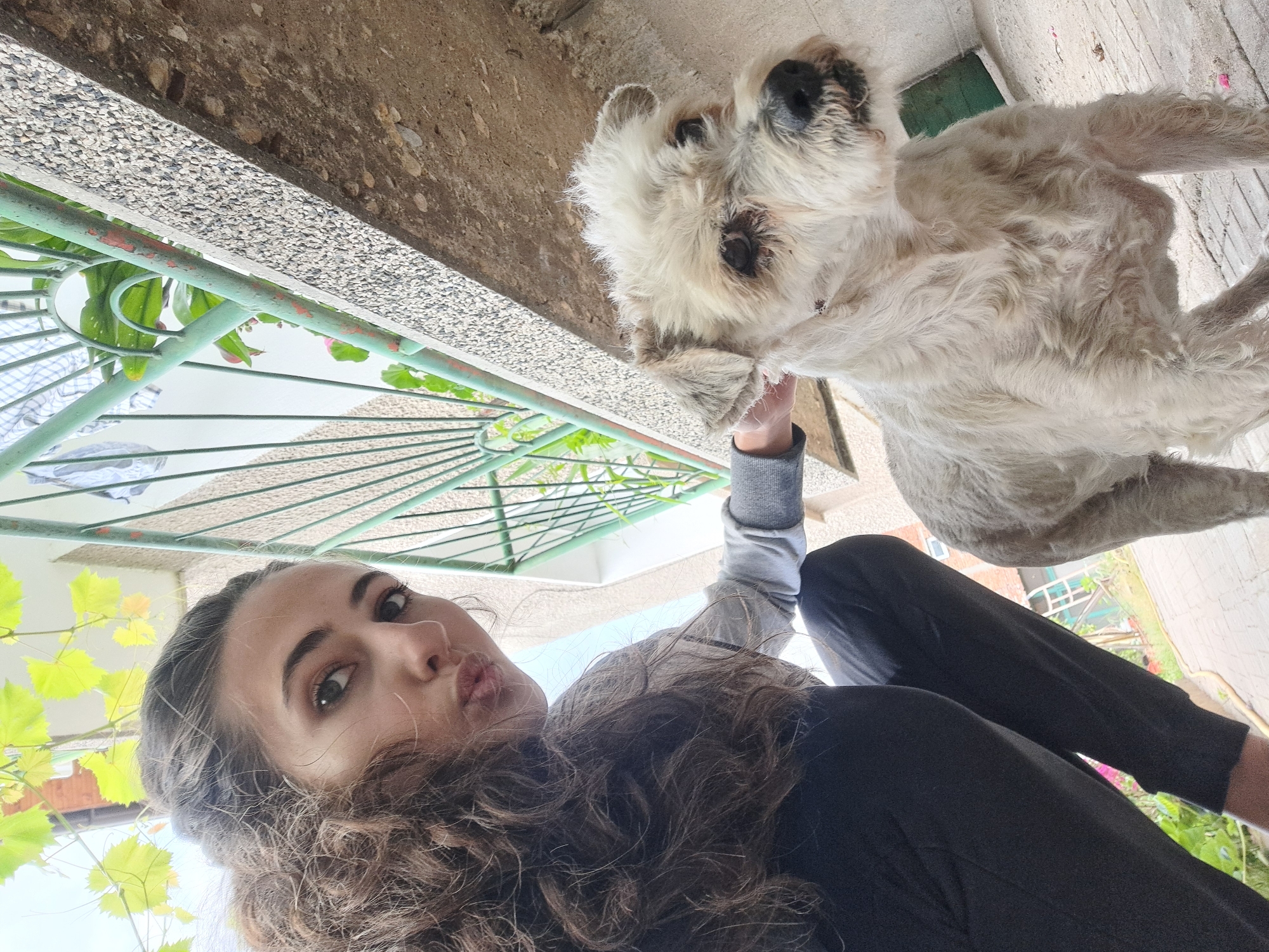 A low-angle, outdoor shot shows a young woman with curly brown hair puckering her lips at the camera, with a white, scruffy dog to her right. The woman is wearing a grey sweatshirt and black pants, and she is crouching down, her left hand on the dog's head. The dog is looking to its right, with its fur appearing slightly matted. The background features a rough, textured wall, a green metal railing, and some green leaves overhead, suggesting an outdoor patio or balcony. The ground is paved with what appears to be concrete tiles. The scene is lit by natural daylight.
