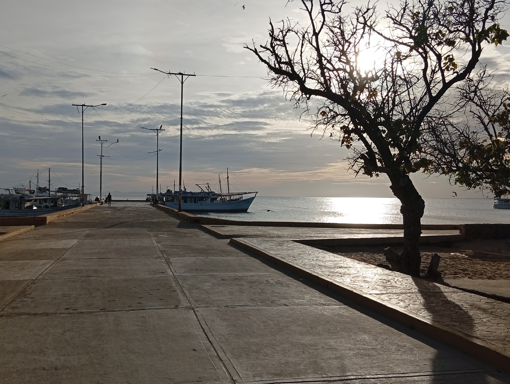 The image captures a view of the waterfront at Juan Griego, Venezuela, during a hazy sunrise or sunset. In the foreground, a concrete walkway with square slabs stretches into the distance, bordered on the right by a textured, decorative stone path. A bare-branched tree with some sparse leaves is silhouetted against the sky on the right side of the frame, casting a long shadow onto the decorative path. In the background, several boats are docked along the harbor. The sea is calm, reflecting the bright sky. A few streetlights with overhead wires are visible along the waterfront. A lone figure is seen walking on the walkway in the middle distance, and another person is standing near one of the boats. Birds are present in the sky, with one visible in flight near the water. The overall atmosphere is serene and somewhat muted due to the atmospheric conditions.