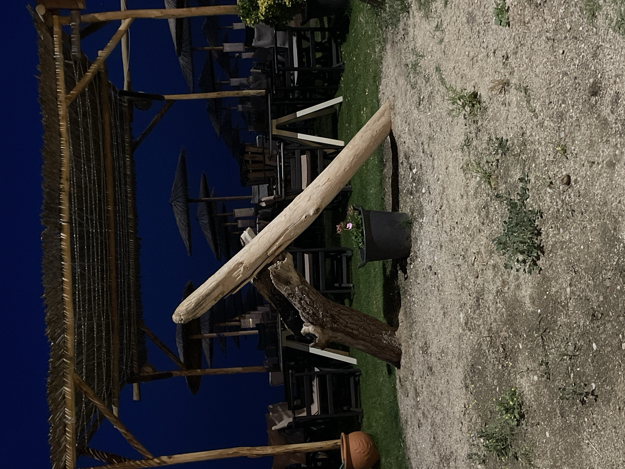 This nighttime image depicts an outdoor establishment in Nea Vrasna, Greece. A prominent wooden pergola with a woven straw roof dominates the upper frame, supported by thick wooden posts. Beneath and beyond this structure, numerous dark-colored, straw-thatched beach umbrellas are visible against a dark blue sky. On a manicured grassy area, an arrangement of dark-framed chairs with lighter cushions and tables, some featuring white A-frame bases, is set up. In the foreground, a sandy and pebbly ground with sparse green weeds leads to the grassy area. Two large pieces of natural wood are central to the foreground: a dark, gnarled tree stump supports a long, light-colored, smooth log leaning diagonally upwards to the right. A dark planter holding a small pink flowering plant is placed near the base of the leaning log, and a terracotta pot is partially visible on the far left. The scene is illuminated by artificial light sources, creating shadows and highlights. No individuals are present.