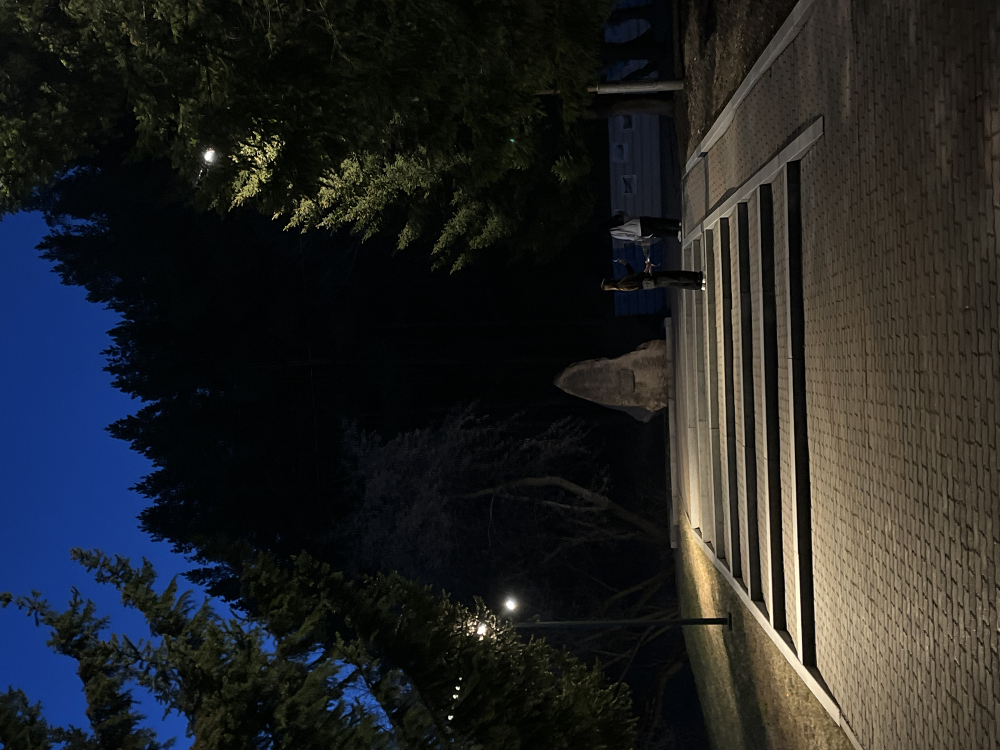 This evening or nighttime image, taken in Zelenogorsk, Russia, depicts an outdoor public area, likely a park or a landscaped walkway, under artificial illumination. The sky, visible in the upper left, is a deep twilight blue, indicating either dusk or early night, while the surrounding environment is predominantly dark.
Dense evergreen trees, possibly pines or spruces, frame the scene, their dark silhouettes contrasting with the lighter areas. Several bright streetlights are visible among the foliage and along the path, casting distinct pools of light and creating strong shadows.
A prominent feature of the scene is a wide, paved pathway or staircase composed of light-colored rectangular pavers. This path, illuminated by ground-level lights, stretches from the foreground on the right towards the mid-ground on the left, featuring vertical architectural elements that suggest steps or a decorative wall.
One individual is clearly visible standing on the paved path, near a large, irregularly shaped stone or rock monument. They are viewed from behind, their silhouette partially obscured by shadows. A second figure can be faintly discerned further up the path. In the distant background, beyond the trees, parts of a building with several windows are visible, hinting at an adjacent urban or suburban environment.
The overall impression is one of quietude and serene beauty, with the interplay of natural elements and artificial lighting defining the mood. There is no visible text or explicit activity beyond the presence of individuals on the path.
