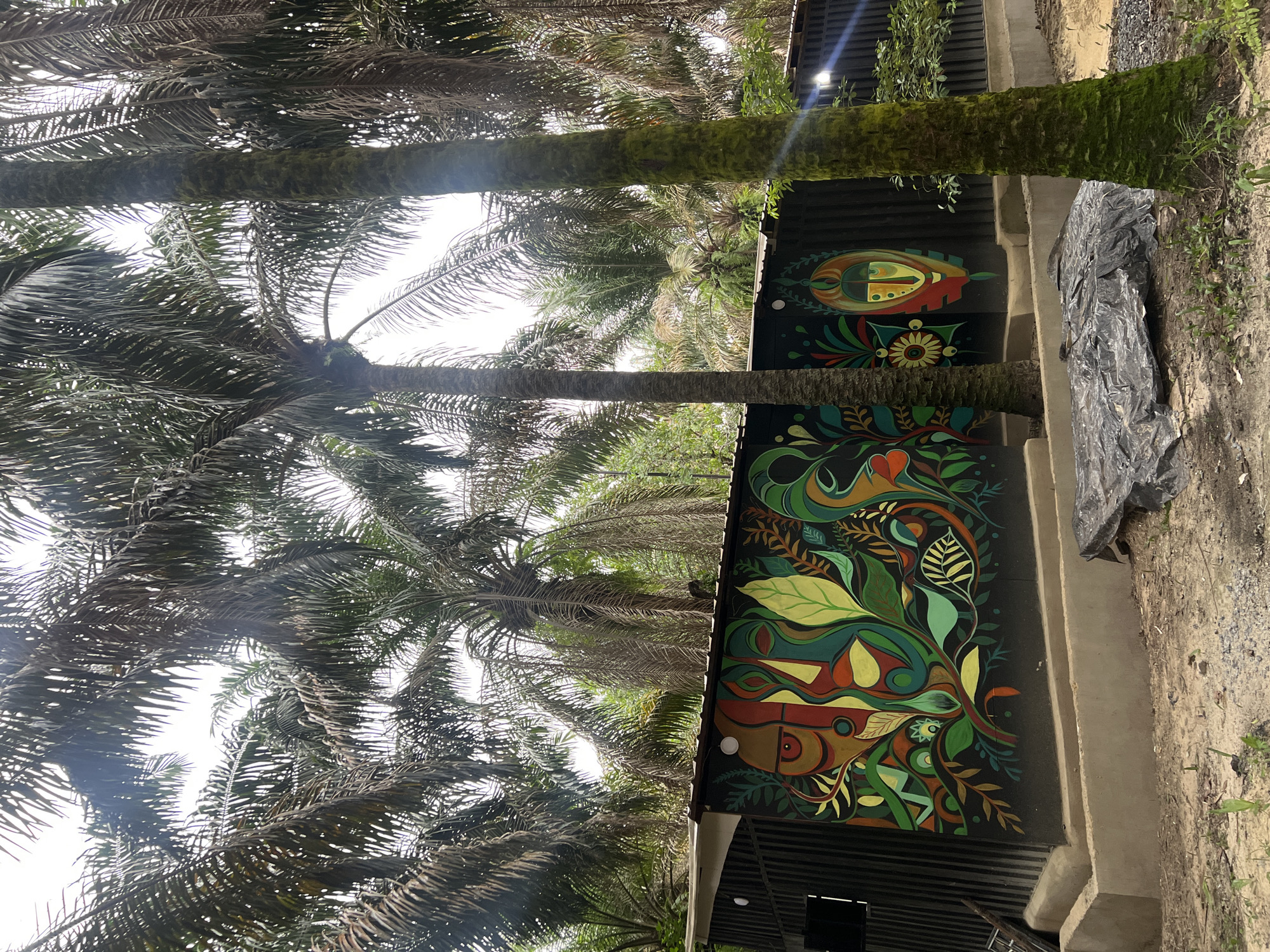 The image shows a scene in Sangotedo, Nigeria featuring tall palm trees and a building with colorful murals. Two palm trees stand prominently, their trunks extending vertically through the frame. The lower portions of the tree trunks are visible near the bottom edge, rising upwards and partially obscuring the building.
The building itself features two large murals on a dark background. The upper mural depicts an abstract, eye-like shape with vibrant colors. Below, the second mural showcases a complex design of leaves, foliage, and other abstract elements, also rendered in various colors.
To the right of the building is a dirt path, with a black plastic material lying partially on the path. The environment around the building appears to be green and lush, with more trees and foliage visible in the background. The sky is overcast, with bright light filtering through the palm leaves.