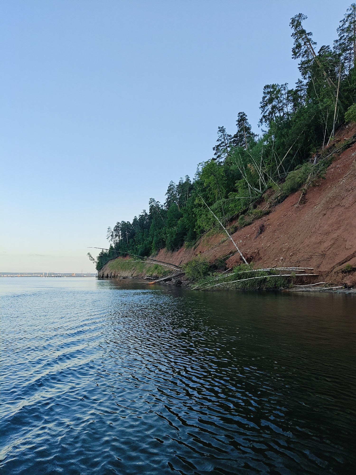 The media file captures a serene, natural scene of a cliffside bordering a calm body of water, likely a river or lake. The cliff is characterized by its reddish-brown soil and is densely populated with a variety of trees, predominantly evergreens and some deciduous species. Many of the trees are tilted, suggesting recent erosion or landslide activity, with fallen logs and branches visible along the embankment and partially submerged in the water at the base.
The water in the foreground is calm, with gentle ripples reflecting the sky and the surrounding greenery. The sky above is a clear, pale blue, indicating it is likely early morning or late evening, with no significant cloud cover. In the distance, a long bridge or dam structure is faintly visible, spanning across the water, along with some industrial or urban elements, hinting at human presence and infrastructure in the broader landscape.
The overall mood of the image is peaceful and somewhat melancholic, evoking a sense of nature's power and its dynamic interaction with the environment. The lack of human figures or overt activity emphasizes the natural beauty and the quiet stillness of the location. The time of day appears to be either sunrise or sunset, given the soft lighting and clear sky. The location is identified as Chaikovsky, Russia. There is no visible text in the image.