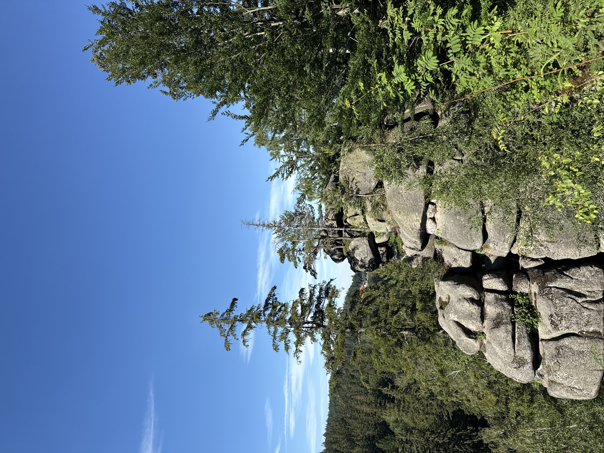 This is a vertical, medium shot photograph of a rocky, forested landscape under a clear blue sky with a few wispy white clouds. The foreground features large, weathered grey boulders interspersed with lush green foliage. Trees, including a prominent evergreen with a unique, windswept shape, grow amongst the rocks and on the slope below. The trees are dense and varied, creating a sense of depth and wildness. The background shows a further expanse of evergreen forest, with hints of buildings and red rooftops visible through the trees on the distant hillside, suggesting a settlement nestled within the natural environment. The lighting indicates it is daytime, likely late morning or early afternoon, with the sun casting shadows and highlighting the textures of the rocks and foliage. The overall atmosphere is one of natural beauty and tranquility, evoking a sense of being in a remote, mountainous region. The location is Szklarska Poręba, Poland. There is no visible text in the image.