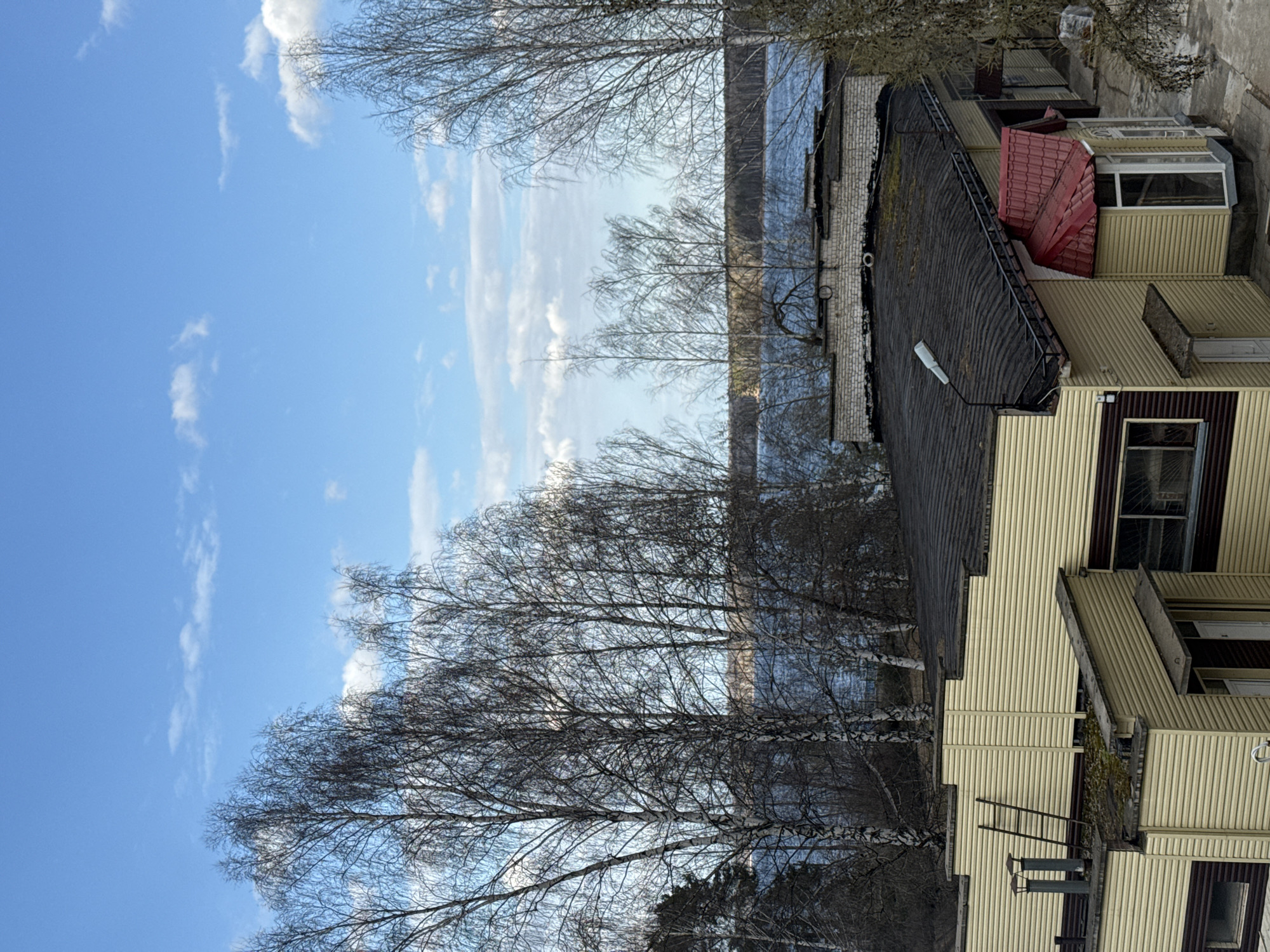 The image captures a serene outdoor scene, primarily featuring a body of water, multiple buildings, and numerous bare-branched trees under a bright blue sky with scattered white clouds. The perspective is slightly elevated, looking towards the water.
In the background, a wide expanse of water, possibly a lake or large river, stretches horizontally. Beyond the water, a faint line of land or forest is visible.
The mid-ground is dominated by a dense cluster of trees, appearing to be birch trees due to their distinctive bark patterns, their branches stark and leafless, indicating a late autumn, winter, or early spring season. These trees partially obscure the view of the water and the buildings behind them.
To the right, a series of buildings are prominent. The closest structure in the foreground and mid-ground is a multi-section building with light yellow/beige vertical siding and some dark brown trim. It features several windows and what looks like an enclosed porch or sunroom with a light-colored frame. A small section of this building has a distinct red-tiled, pitched roof. On one of the lower levels, a ladder leans against the wall, and what appears to be two ventilation pipes extend from the roof.
Further back, another building with brick walls and a dark, possibly corrugated, roof is visible. A streetlamp is mounted on the edge of this dark roof. The overall architectural style suggests a residential or communal setting.
The sky is a clear, vibrant blue with wispy white clouds scattered across it, indicating good weather and bright daylight. There are no people visible in the frame, and no discernible text can be read on any of the structures or natural elements. The scene conveys a quiet, possibly early spring day.