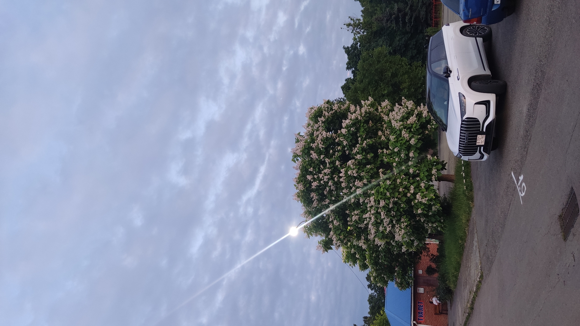 A white SUV is parked on an asphalt road in front of a building with a blue roof. A person is sitting on a bench near the building. A large tree with white flowers is in bloom next to the SUV. The sky is cloudy. There is a street light shining down on the tree.