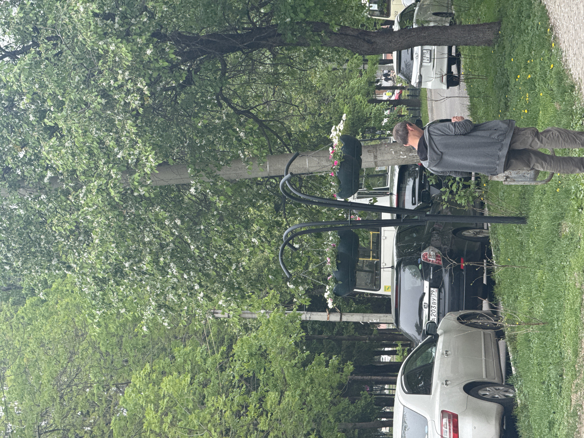 The scene depicts a street in what appears to be Birobidzhan, Russia, given the license plates on the vehicles. A man in a grey jacket and darker trousers is standing on the sidewalk. He appears to be holding and looking at something in his hands. Several cars are parked along the street, including a white SUV and a black sedan, with license plates visible. A bus or large van is parked between the cars. Decorative wrought iron streetlight poles with hanging flower baskets are visible along the sidewalk. Trees with white blossoms line the street, indicating it is springtime. The sidewalk is bordered by grass, some of which contains dandelions.