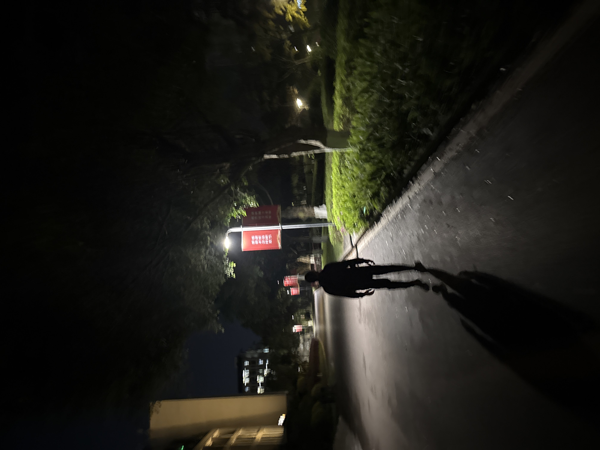 The image shows a dimly lit outdoor scene in Jiangjin, China at night. A person is walking on a paved path, their silhouette visible under the sparse lighting. A line of bushes runs along the right side of the path. In the distance, illuminated signs with Chinese characters are visible, hanging from poles. Buildings can be seen further back. The path leads into the darkness.