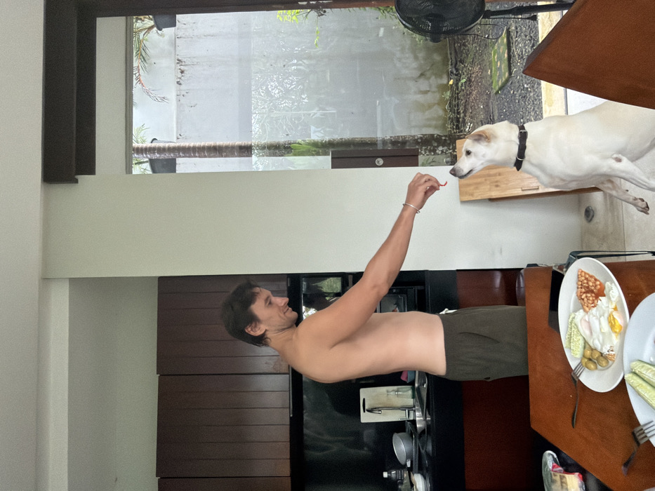 The scene is set indoors in Ungasan, Indonesia. An adult male, shirtless and wearing dark olive-green drawstring shorts, stands with his right arm extended forward. He is holding a small, red, elongated item, possibly a treat or food, between his thumb and index finger. The man is looking downwards and slightly to his right, smiling. Directly in front of him, a cream-colored dog wearing a dark collar is standing on its hind legs, looking up intently at the item in the man's hand.
In the immediate foreground, a wooden dining table displays a white plate with a breakfast meal, including two fried eggs, baked beans, and small sausages or potatoes. Another white plate holding sliced cucumbers is partially visible. Behind the man and to the left, a kitchen area is visible with dark brown upper cabinets, a dark countertop, and a black backsplash, where various kitchen items and a sink are present. The floor throughout the visible indoor area is light-colored.
To the right of the man and dog, a glass-paneled door or large window provides a view of the outdoors. Visible through the glass are a tall palm tree, lush tropical foliage, and a light-colored concrete wall topped with potted plants. A black electric fan is partially visible on the far right of the image, positioned near the outdoor view.
