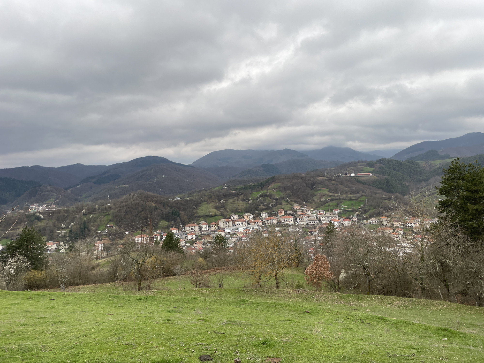 The image shows a town nestled in a valley surrounded by mountains under an overcast sky. The town consists of tightly packed buildings with red-tiled roofs. The foreground is a grassy field with scattered trees. In the mid-ground, the town is bordered by forested areas that extend up the slopes of the surrounding mountains. The mountains fade into the distance, their peaks obscured by the low-hanging clouds. This scene is Zlatograd, Bulgaria, due to the architecture and landscape. There are no people visible.