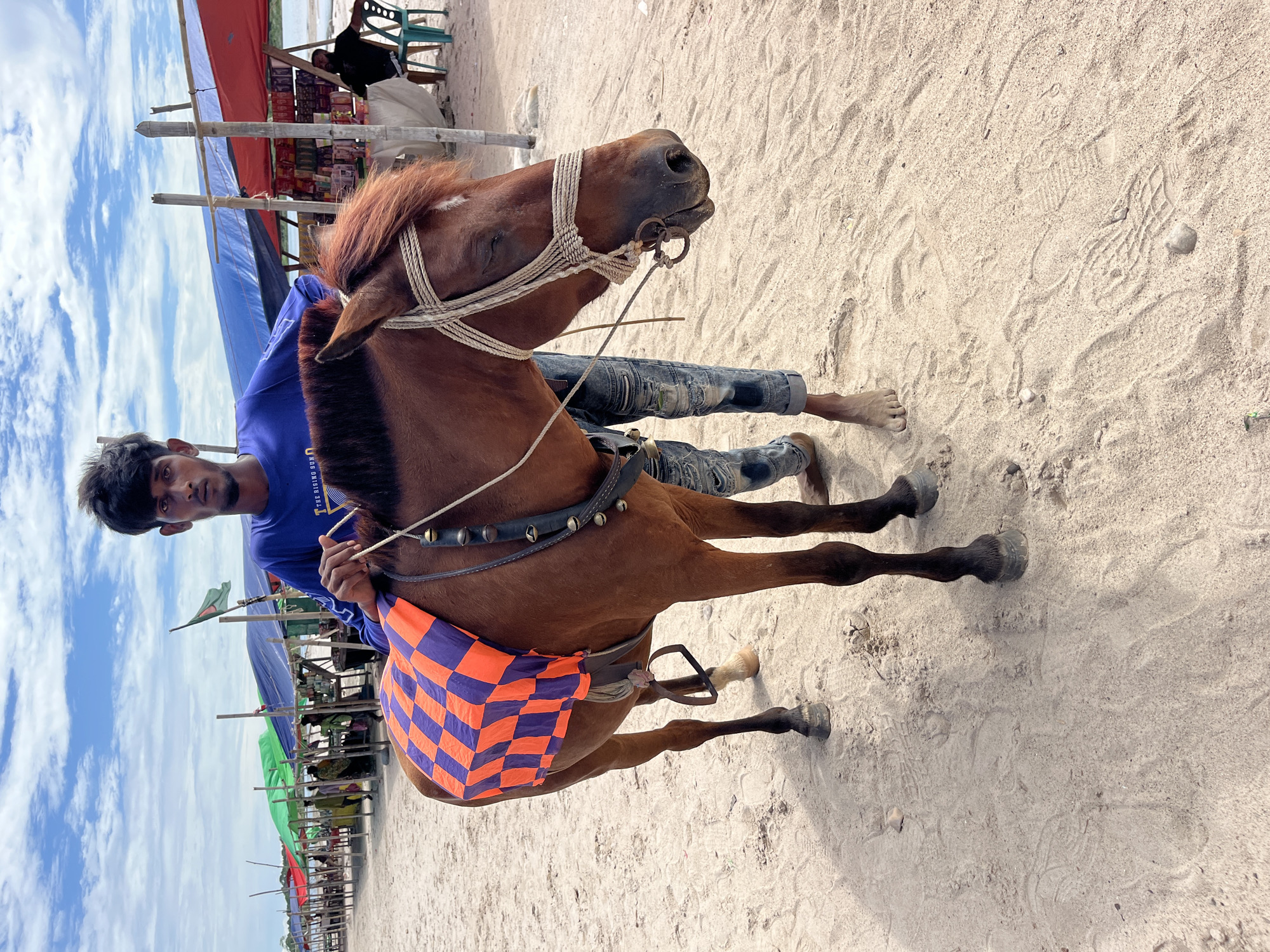 A young man stands on a sandy beach, holding the reins of a brown horse. The horse is equipped with a bridle and a saddle blanket with an orange and purple checkered pattern. The man is wearing a blue long-sleeved shirt and ripped jeans. In the background, there are several stalls with colorful awnings, suggesting a marketplace or tourist area. The sky is partly cloudy, and the overall setting appears to be a coastal location. The image does not provide any specific information that would indicate the location is Majai, India.