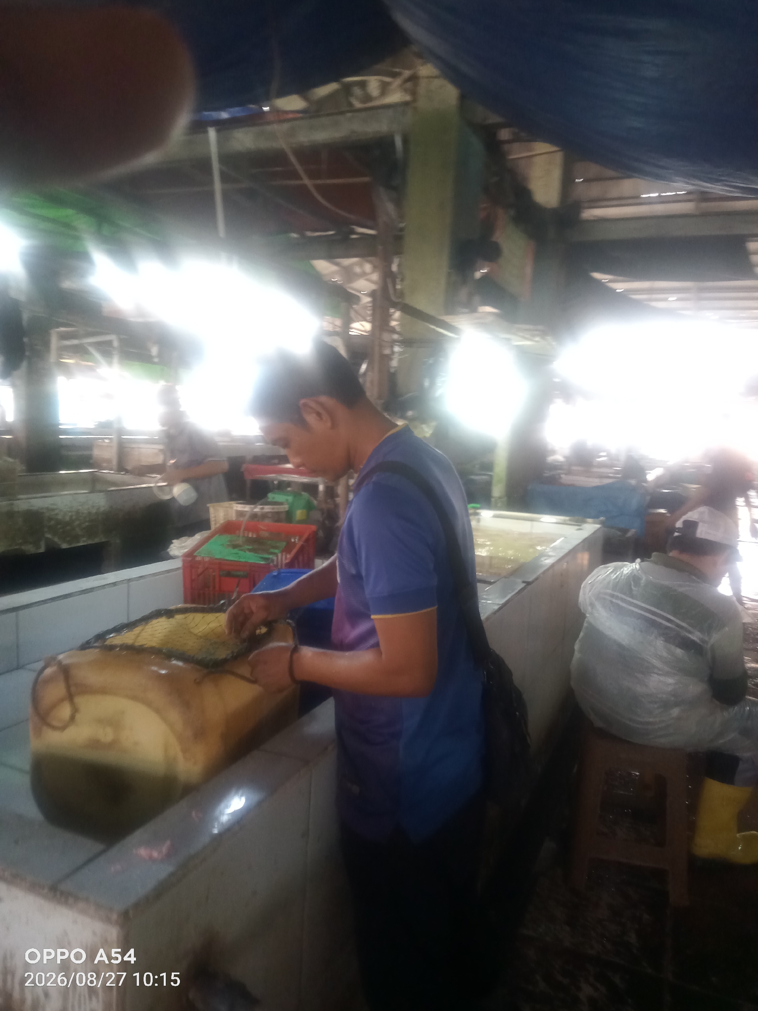 The image depicts a fish market scene in Jambi, Indonesia. In the foreground, a man wearing a blue t-shirt is focused on a large, yellow, plastic container filled with water and what appears to be fish or seafood. He is using a net to manipulate the contents of the container. The container rests on a tiled surface. In the background, other individuals are visible, engaged in various activities related to the market, such as handling items in crates and standing near water-filled tanks. The environment appears to be partially covered, with tarps and structures suggesting an open-air market. The lighting is bright, with significant glare, possibly indicating direct sunlight. The timestamp on the image reads "OPPO A54 2026/08/27 10:15".