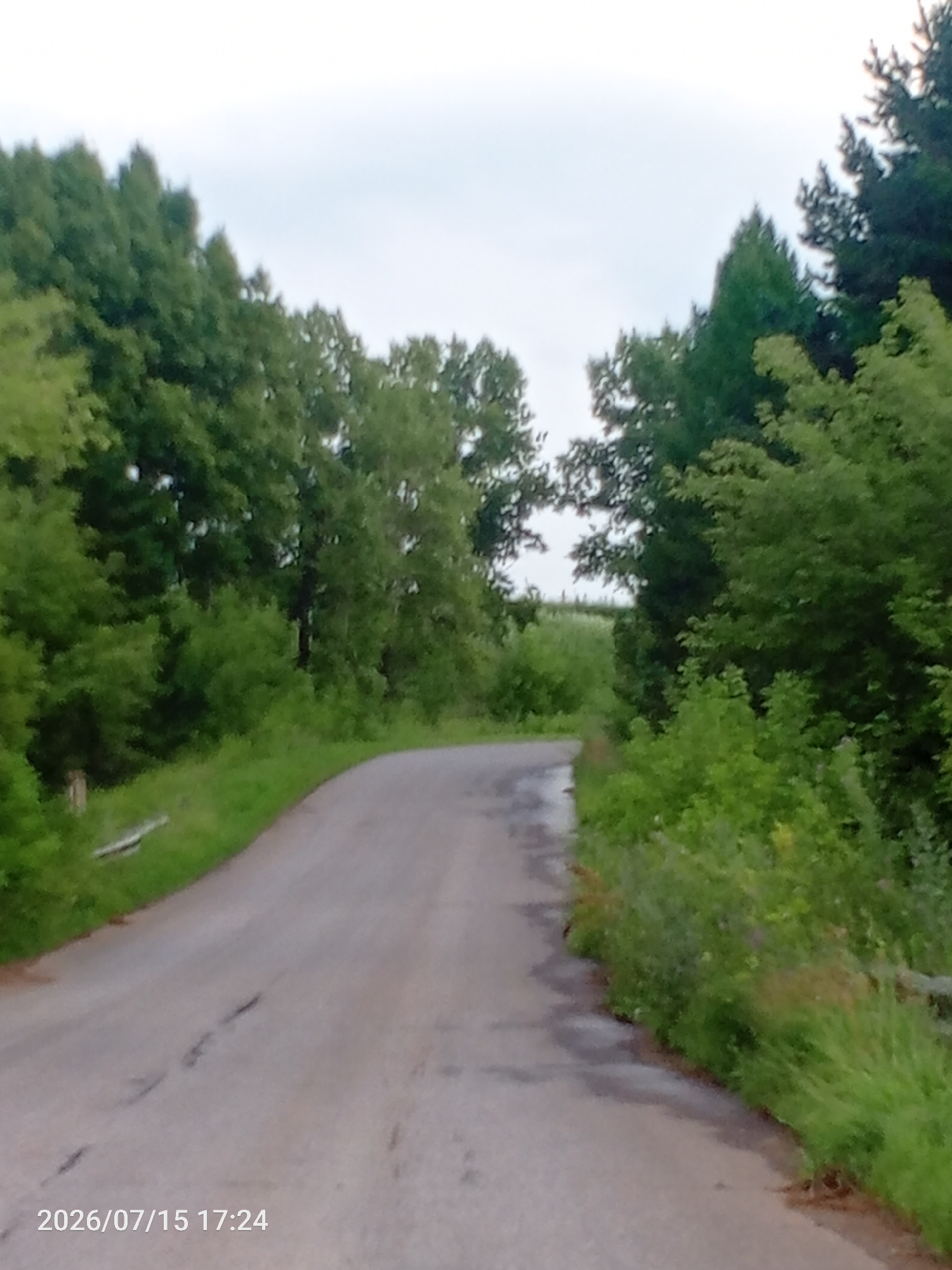 The image shows a curved asphalt road with some potholes, bordered by lush green vegetation on both sides. Tall trees with dense foliage line the edges of the road, creating a natural canopy. The sky above is overcast with a pale, diffused light. On the left side of the road, a small, light-colored object is visible near the grassy verge, possibly a signpost or debris. A timestamp in the bottom left corner of the image reads "2026/07/15 17:24". The scene appears to be a rural or semi-rural road, likely in a wooded area, with no people or vehicles immediately apparent.