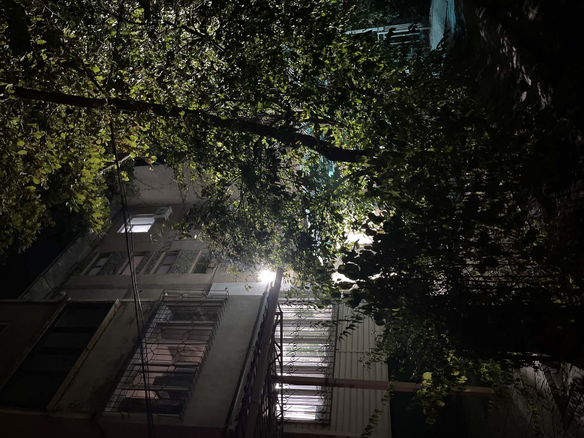 The image depicts an outdoor scene at night, with an apartment building and a large tree prominent. The building appears to be made of concrete with balconies and windows. Some windows have decorative metal grates. Lights are visible in some of the windows and under a covered porch area, casting a warm glow. The tree is tall with dense foliage that is illuminated by artificial light. The ground is dark and appears to be a paved area or path with shadows. The overall impression is one of a residential area in a city at night.