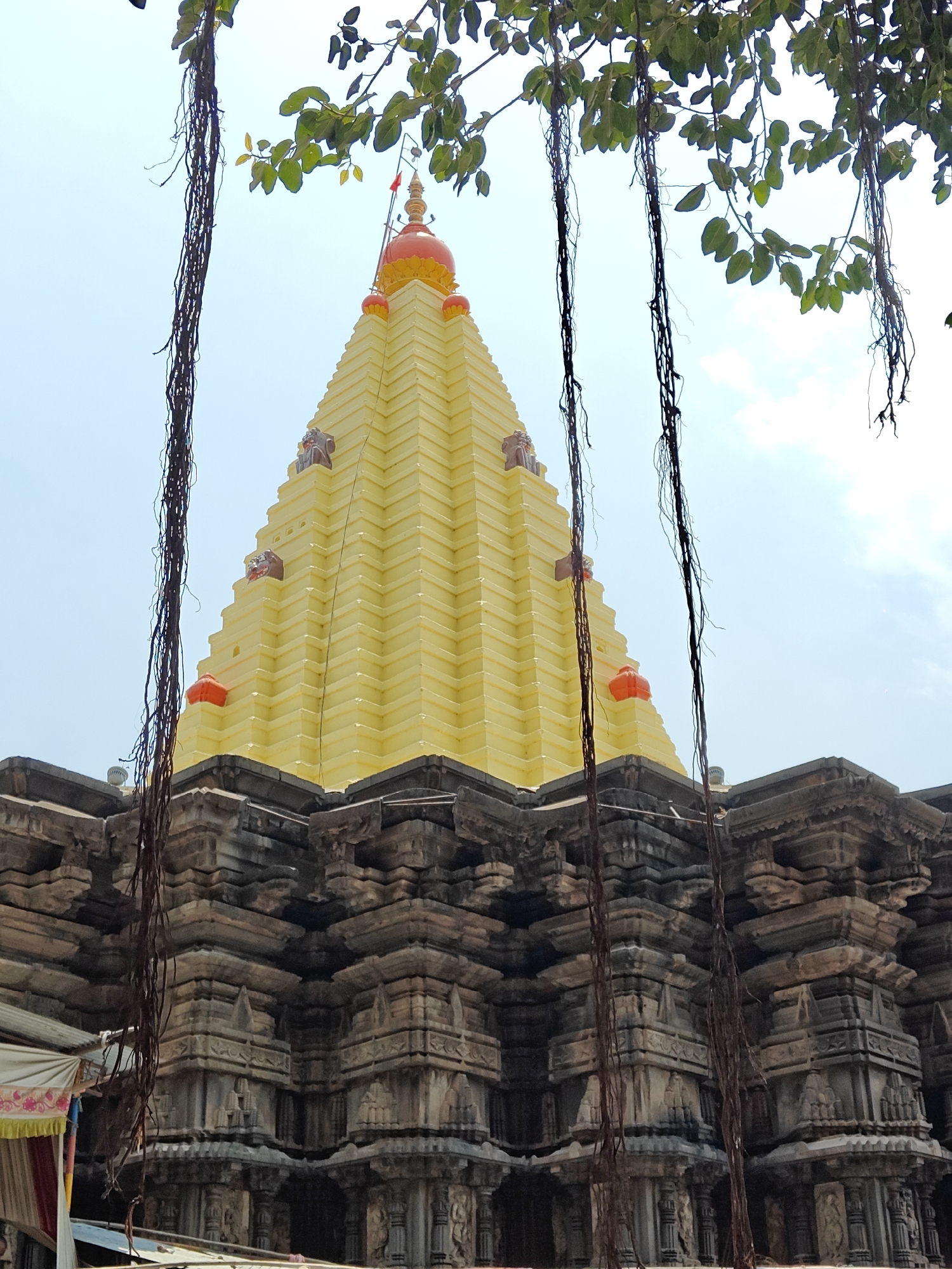 The image displays an upward-angled view of a temple structure located in the city of Kolhapur, India. The central subject is a multi-tiered, pyramidal shikhara (tower) painted bright yellow, ascending to a peak where a reddish-orange dome and a golden finial topped with a small red flag are visible. Below the dome, other reddish-orange decorative elements are positioned on the shikhara's tiers. Sculpted figures, possibly representing mythical creatures, are present on the upper corners of the yellow shikhara. The shikhara rests upon a base of intricately carved, dark grey stone, exhibiting detailed traditional temple architecture with multiple horizontal and vertical projections. Overhanging the scene from the top are branches with green leaves and several long, dark, tangled aerial roots, which partially obscure the shikhara and the sky. The background consists of a clear, pale blue sky with a few wispy white clouds on the right side. A partial view of a temporary structure, likely an awning or tent with white and pink patterned fabric, is visible at the lower left edge of the frame. No individuals are present in the observable scene.