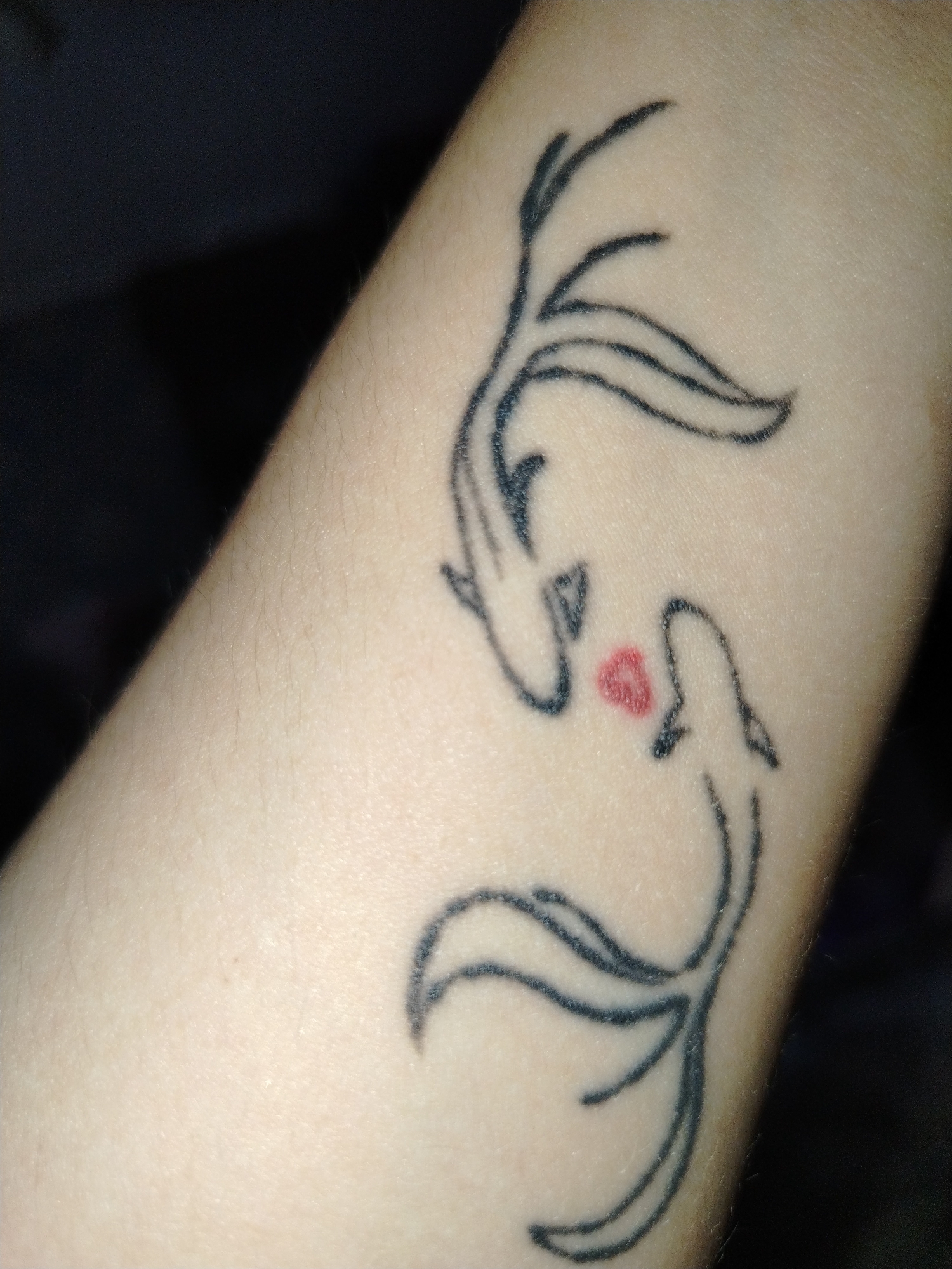 The image shows a tattoo of two stylized fish, one above the other, with their mouths nearly touching. A small red heart is depicted between their mouths. The tattoo is on a person's arm, which has light skin with fine, light-colored hair. The background is dark and out of focus. The image does not contain any information about the location of this tattoo in Ulyanovsk, Russia.