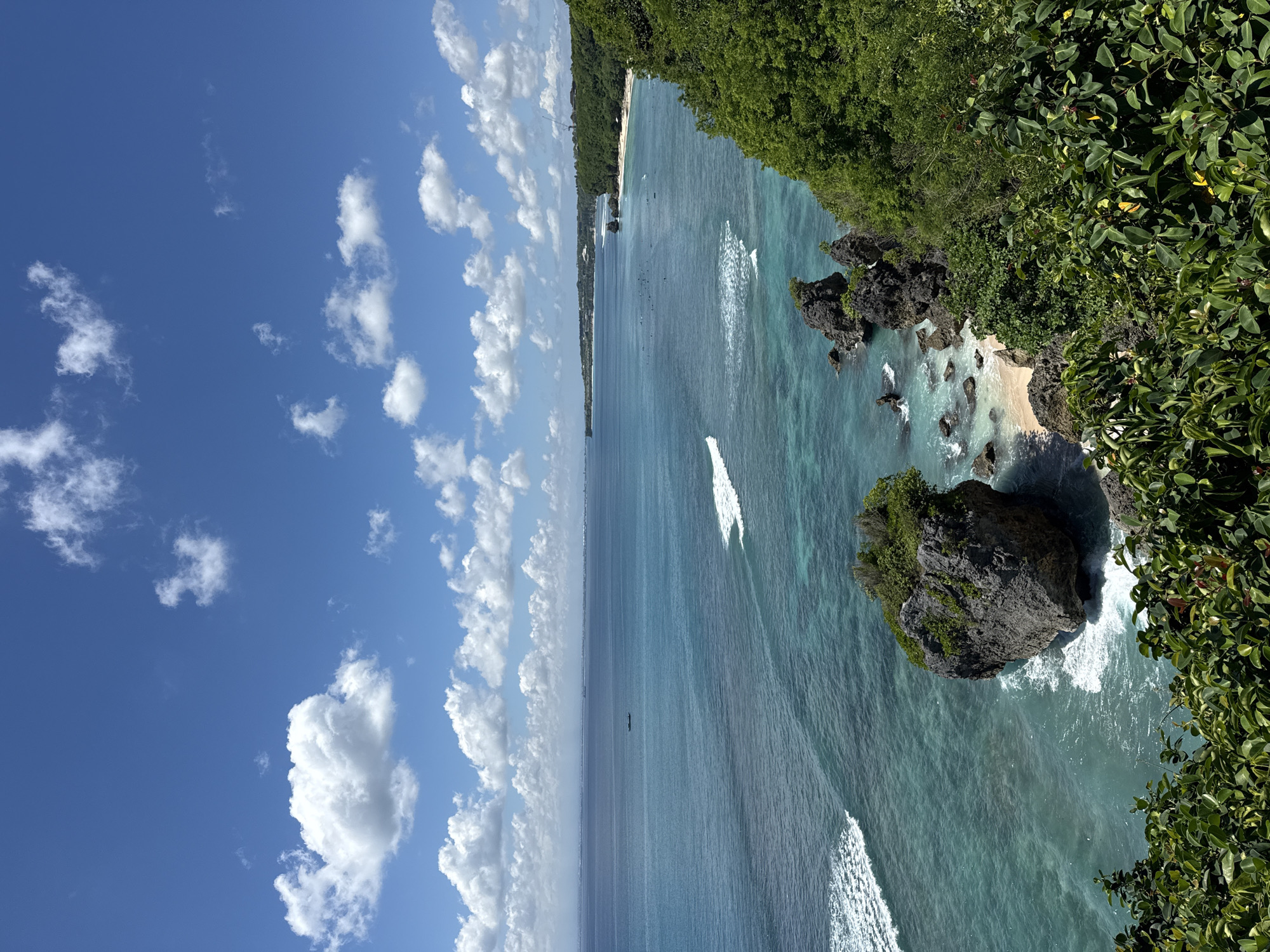 This photograph captures a breathtaking panoramic view of a tropical coastline in Kuta Selatan, Indonesia, likely taken from a high vantage point such as a cliff.
The upper portion of the image features a bright blue sky dotted with scattered, fluffy white cumulus clouds, indicating clear and sunny weather. Below the horizon, the vast expanse of the ocean dominates the scene, displaying beautiful gradients of turquoise and deep blue. Numerous white-capped waves are visible, some breaking closer to the shore and others further out. Small, dark silhouettes of individuals, possibly surfers, can be seen in the water, engaged in activities. A single, small, dark boat is also visible far out on the calm ocean surface.
Along the coastline, a narrow strip of golden sandy beach is visible, flanked by rugged, dark rock formations that extend into the water. Some of these rock formations are sizable, resembling small vegetated islands just offshore. The land behind the beach is covered with dense, vibrant green foliage, indicative of lush tropical vegetation, possibly a jungle or forested area. In the immediate foreground, particularly on the right side of the frame, there is an abundance of rich green leaves and branches, suggesting the camera is positioned amidst the cliffside greenery, looking down and across the bay.
The time of day appears to be midday or early afternoon, characterized by bright sunlight and clear visibility. The overall atmosphere conveyed is one of natural beauty, tranquility, and an active coastal environment. There is no visible text in the image.