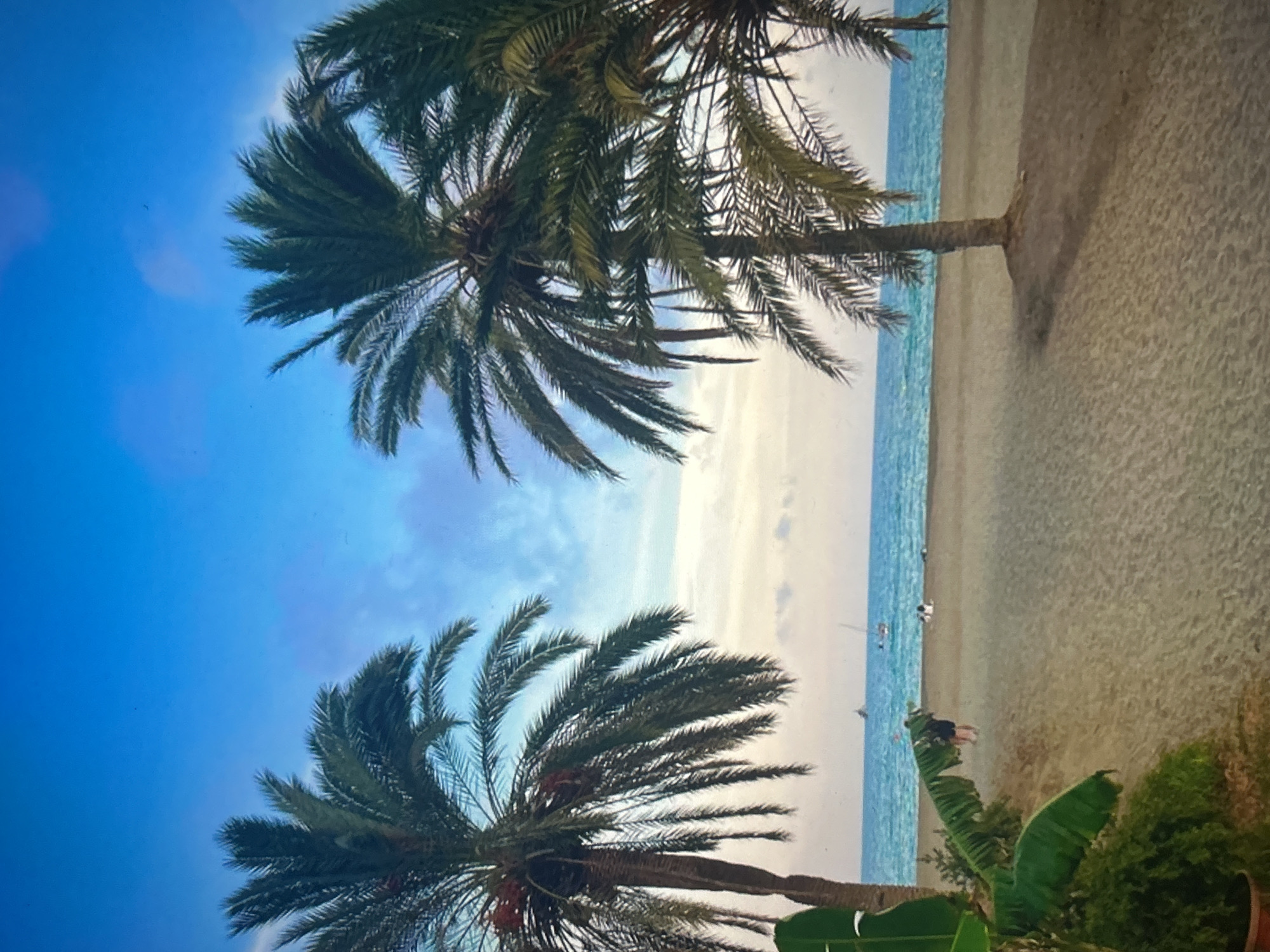 An outdoor, eye-level photograph captures a beach scene in the city of Unknown, Unknown, depicting two prominent palm trees framing a view of the ocean and sky. The sky, a deep blue at the top, transitions to lighter blues and purplish-grey hues towards the horizon, indicating scattered clouds. The palm tree on the left features a thick trunk and a crown of dense green fronds, with visible clusters of reddish-brown dates. The palm tree on the right, also with a thick trunk, displays lush green fronds extending across the frame.
In the bottom left corner, vibrant green, broad-leafed tropical foliage, possibly banana leaves, and smaller green shrubs are visible, suggesting planted vegetation. The sandy beach in the foreground is light brown/beige, appearing somewhat coarse. Near the water's edge, two individuals are walking away from the camera; one wears dark shorts and a top, the other is partially obscured. Further right on the sand, two additional individuals are reclining close to the water.
The ocean, a clear turquoise blue, extends horizontally across the middle of the frame, transitioning to a deeper blue further out. Three small boats are visible on the water: one sailboat with a single mast is towards the left, and two other smaller vessels are positioned further right on the horizon. The overall lighting suggests late afternoon or early evening.