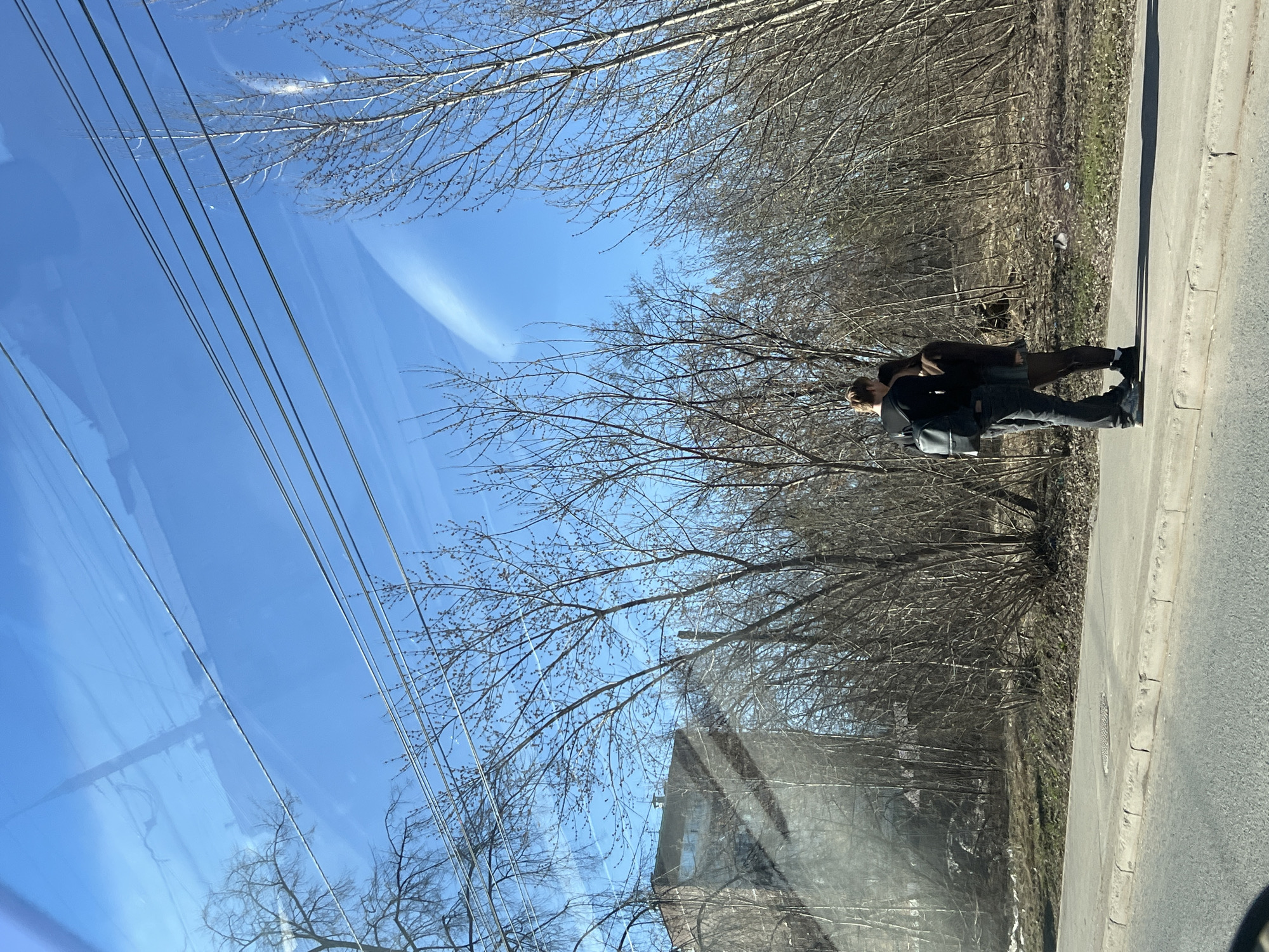 The image, taken in Izhevsk, Russia, captures a daytime scene on what appears to be a clear, sunny day in late winter or early spring. Two individuals, a man and a woman, are standing on the edge of a paved road, next to a curb and a narrow strip of dry ground leading to a dense line of bare trees.
The man, positioned closer to the viewer, wears a dark jacket, dark trousers, and carries a black backpack. He faces towards the woman, who is dressed in dark clothing, possibly a skirt or dress with a dark top. They appear to be standing close together, potentially in conversation or engaged in an intimate moment.
Behind the individuals, a multitude of deciduous trees with bare branches and twigs stretches into the background, indicating a season before foliage has emerged. The ground beneath the trees is covered with dried leaves and sparse, dry grass. To the right of the people is the paved road, well-defined by a raised curb.
The sky is a vibrant, clear blue, without clouds, suggesting bright sunlight. Reflections of power lines run diagonally across the upper left quadrant of the image, superimposing themselves over the sky. A faint reflection of what appears to be a building or structure is also visible in the lower left, hinting that the photo was taken through a window. No discernible text is visible anywhere in the frame.