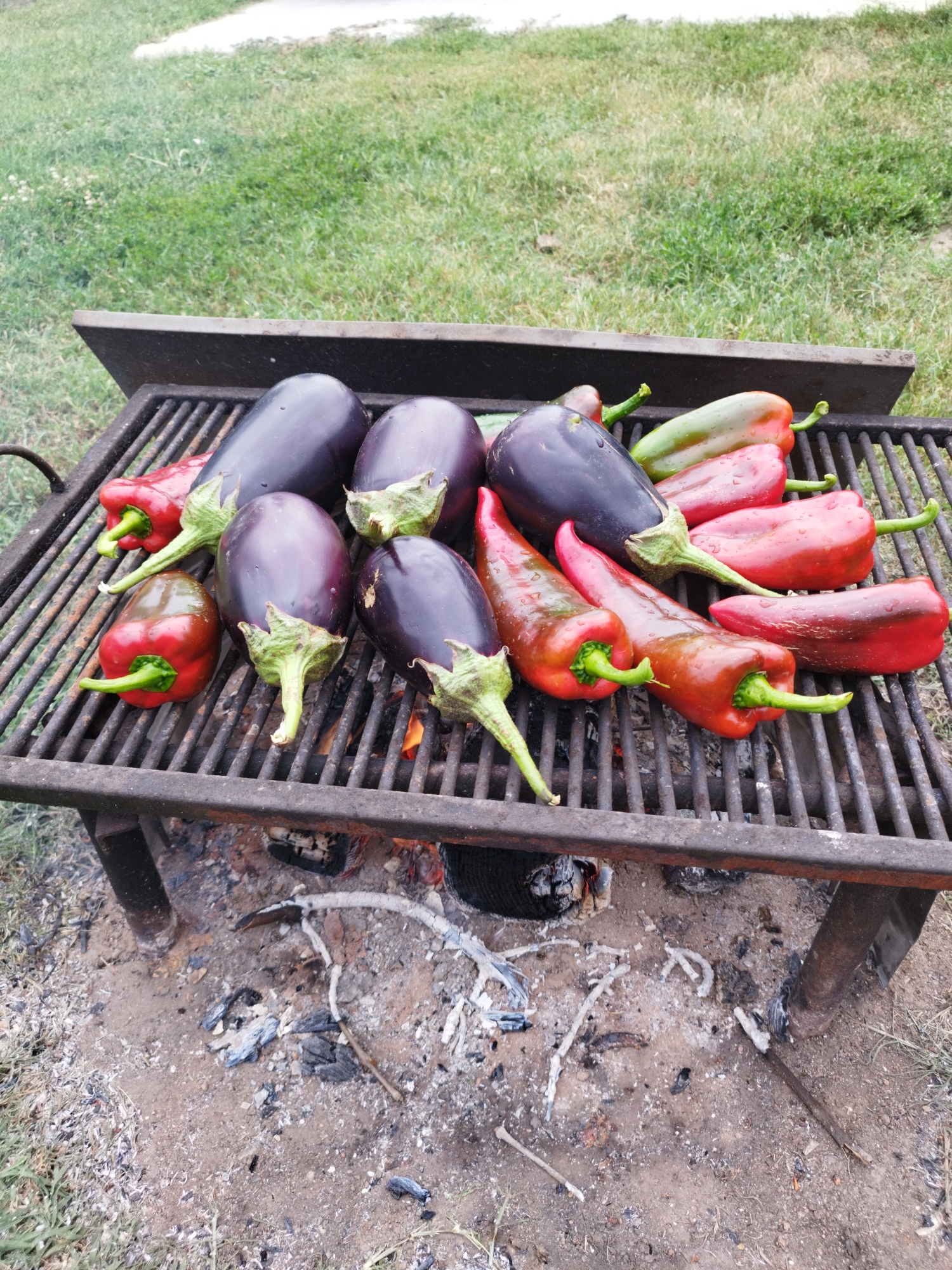 The image shows a grill with several eggplants and peppers arranged on it, positioned over hot embers. The grill is made of metal and is set on legs in a sandy area surrounded by grass. The background consists of green grass and a blurred, light-colored area. There is no indication of Bucharest, Romania in the image. The scene appears to be outdoors, likely in a backyard or park setting, with the vegetables prepared for grilling.