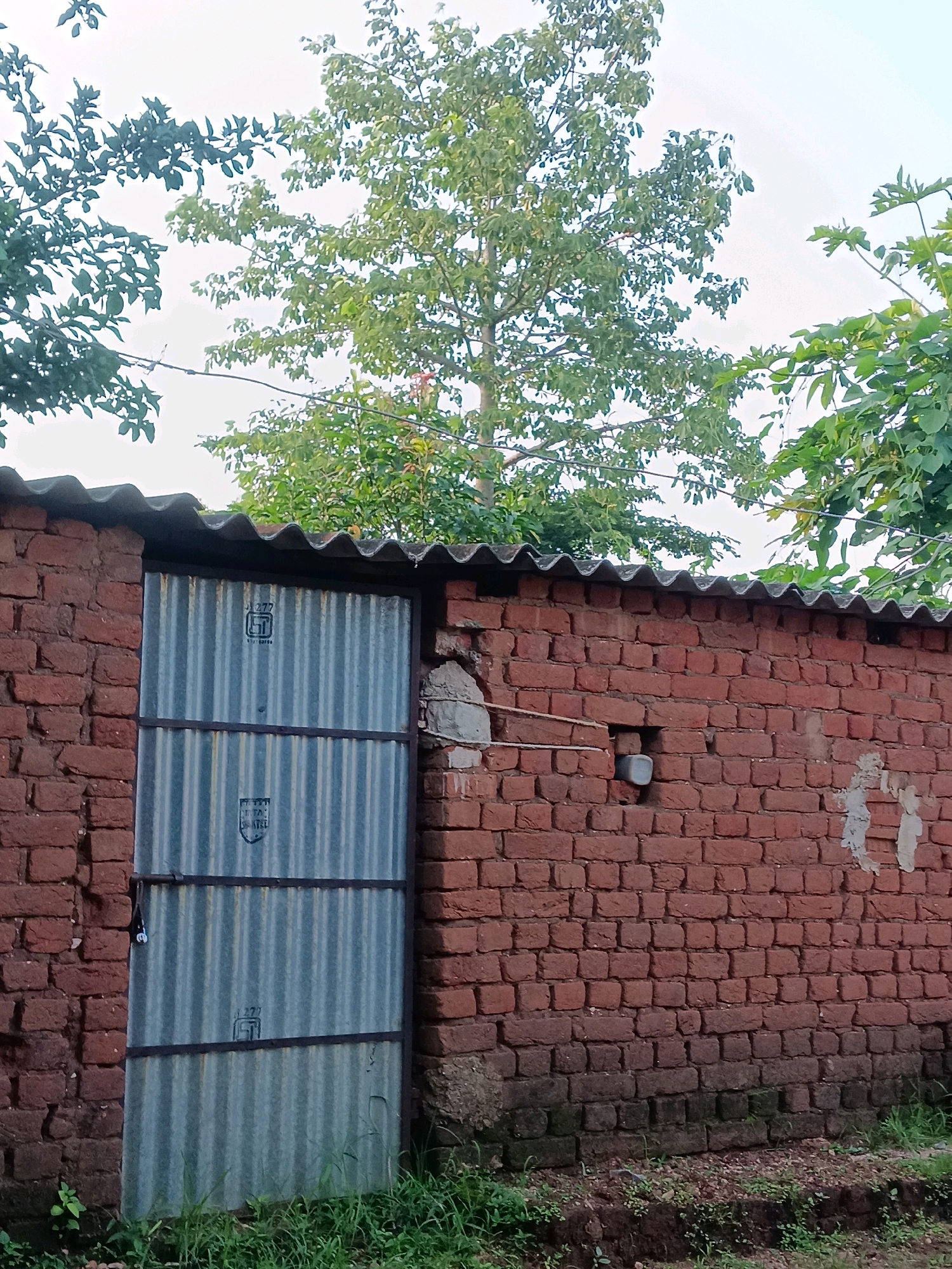The image depicts a corrugated metal door set into a red brick wall. The door is divided horizontally by two metal bars and has a lock on the left side. Above the door, a corrugated metal sheet forms a roof. Green foliage from trees is visible in the background, with the sky above. The brick wall appears weathered, with some patches of lighter colored material and a small opening in the wall containing a gray electrical box. The foreground shows green grass and some loose soil. The scene is likely located in Dhanwar, India, given the context provided.