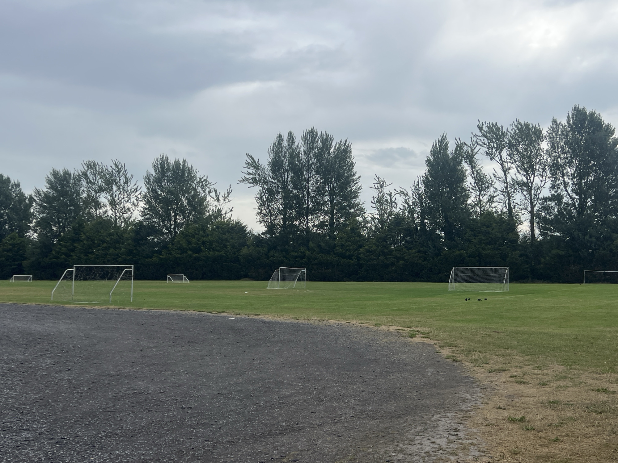 An outdoor shot shows a grassy field with several soccer goals. In the foreground, a dirt path curves into the frame. A dense line of trees forms a backdrop. The sky is overcast.