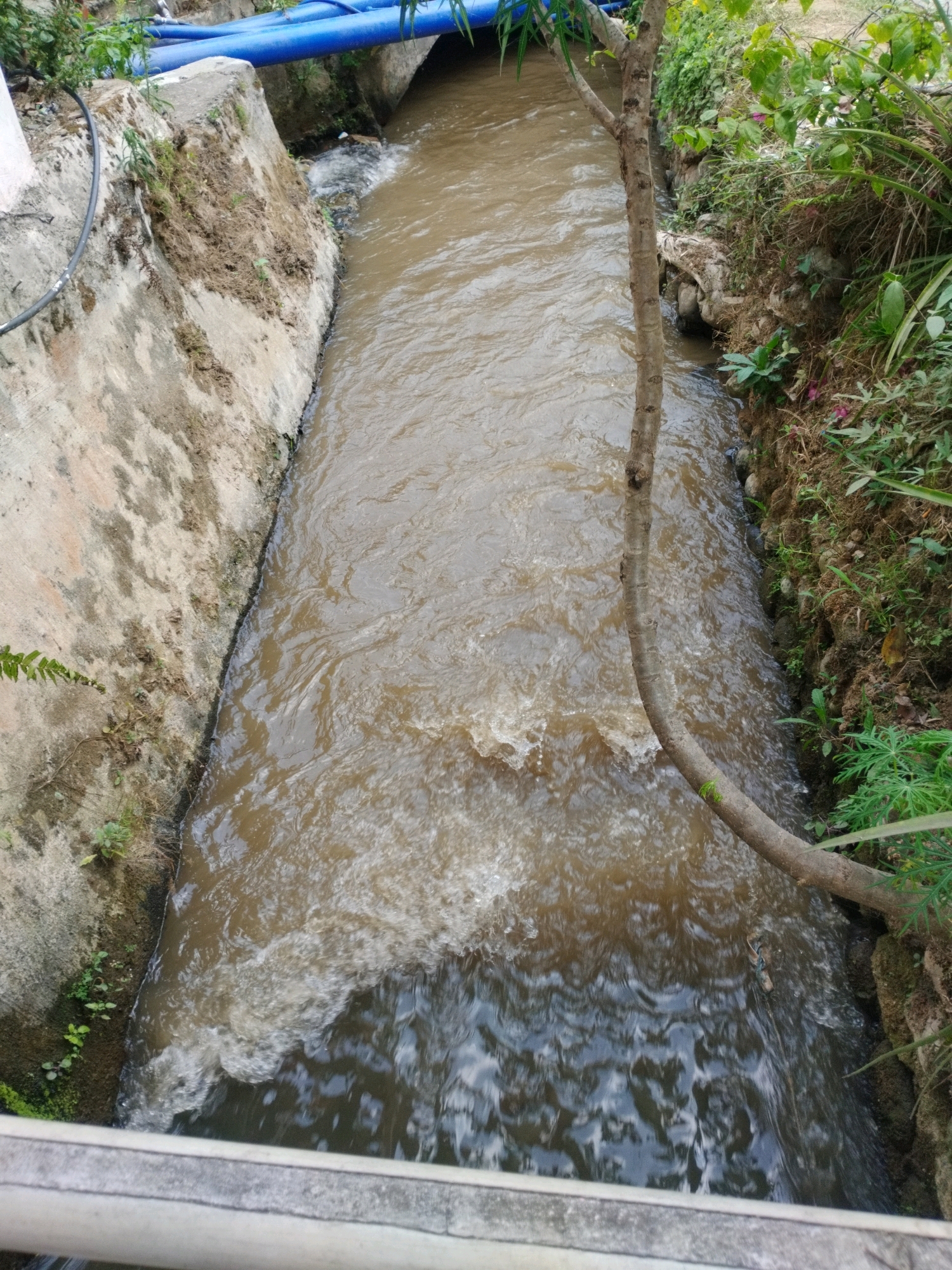 A brown, fast-flowing canal runs through a moderately vegetated urban area. Concrete walls line the left side of the canal, which appears to be man-made. On the right bank, there is a steep embankment covered in green vegetation, soil, and rocks. A thin tree trunk arches over the canal from the right bank. In the background, large blue pipes are visible, supported by concrete structures, suggesting infrastructure related to water management. A light-colored railing is visible in the foreground, indicating a bridge or viewing platform. The water is murky and shows signs of turbulence. The overall scene depicts a functional waterway within a developed environment.