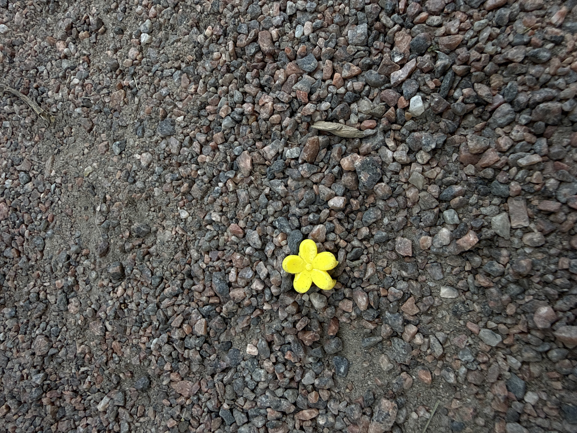 This image, captured in Saint Petersburg, Russia, depicts a ground surface composed primarily of assorted gravel and fine dirt. The gravel consists of irregularly shaped stones varying in size, predominantly exhibiting shades of dark grey, black, and reddish-brown. A bright yellow, five-petal, plastic flower-shaped object rests on the gravel in the lower-left portion of the frame. To the right of the yellow object, a single, slender, light brown dried twig or piece of wood is embedded within the gravel. The scene is illuminated by diffused, uniform lighting, casting no distinct shadows. No individuals, animals, or larger man-made structures are visible, and no actions or interactions are depicted.