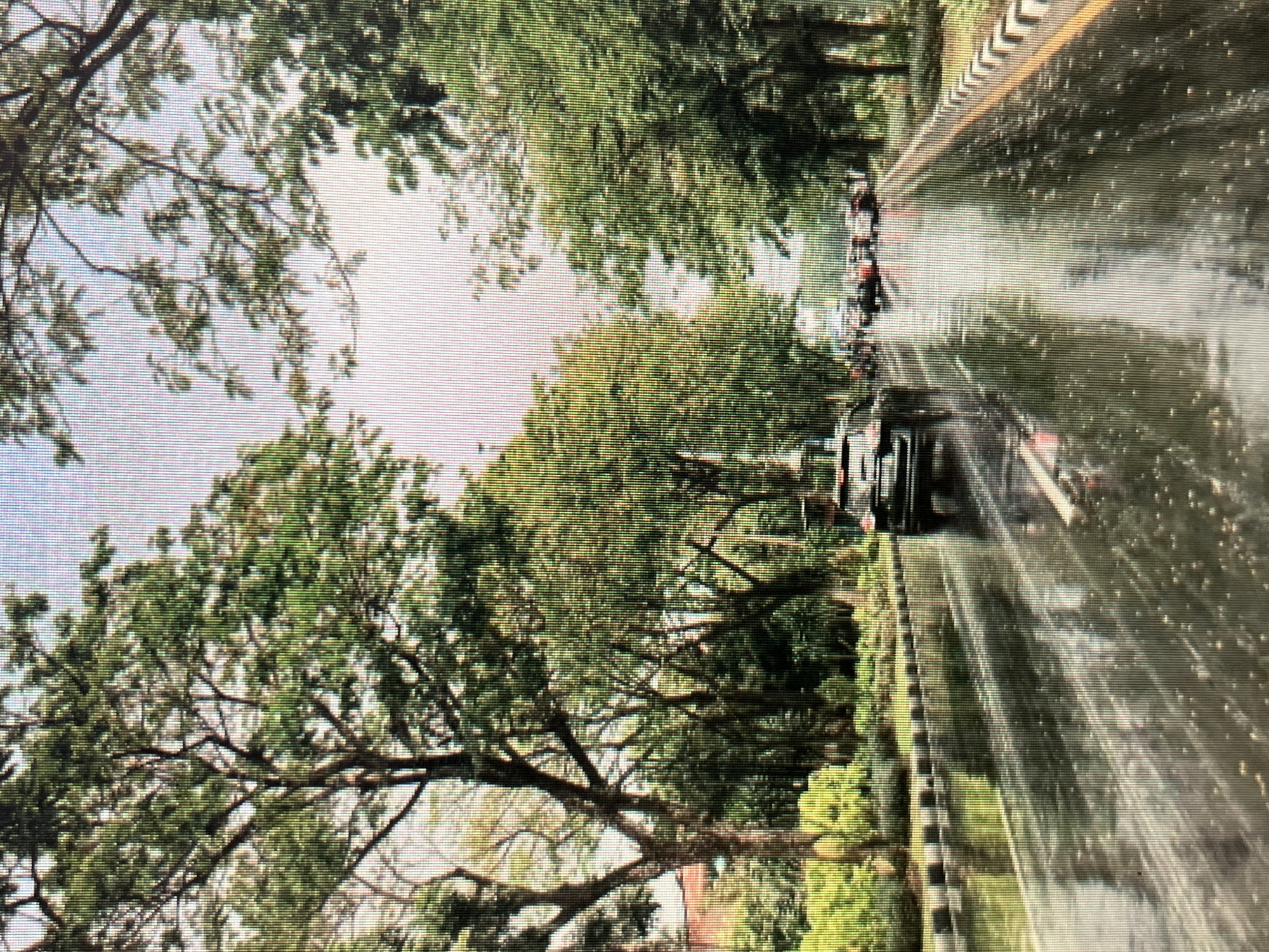 The image depicts a street scene in the city of Sejahtera, Indonesia, after a rainfall. The road is wet and reflects the surrounding environment. Several vehicles are visible, including a black SUV in the foreground on the left lane. Traffic appears to be moving slowly in both directions. Tall trees line the street, providing shade and greenery. The sky is overcast, suggesting continued wet weather or recent rain. The scene conveys a sense of urban life and the impact of weather conditions on daily activities.